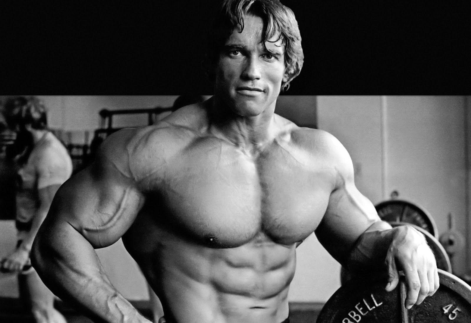 Arnold Schwarzenegger Images.jpg