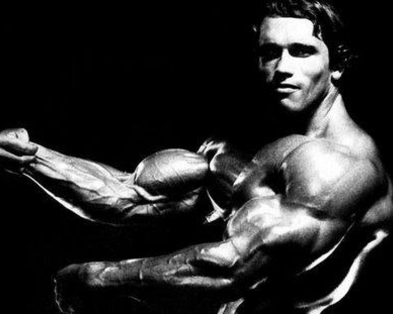 Arnold Schwarzenegger Image.jpg