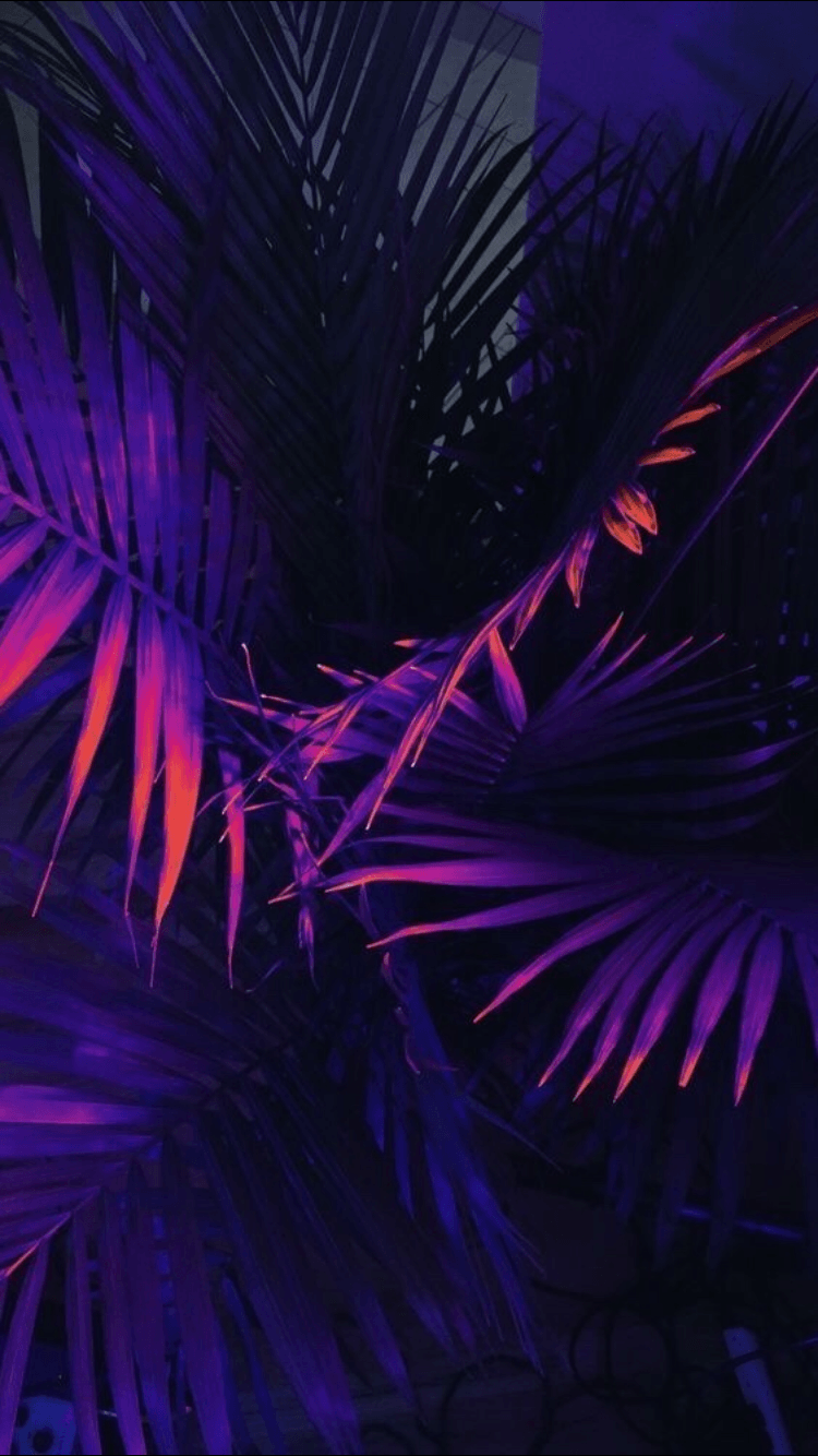 Purple Aesthetic Pictures.png