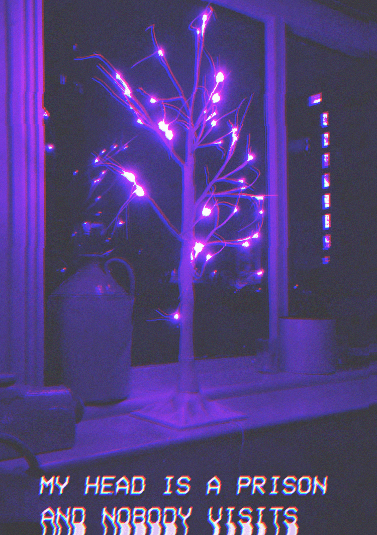 Purple Aesthetic Picture.png