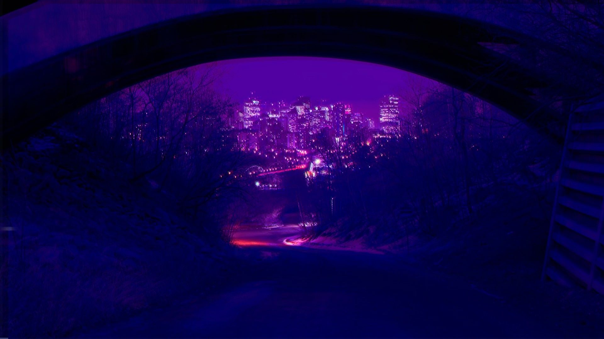 Purple Aesthetic Photo.jpg