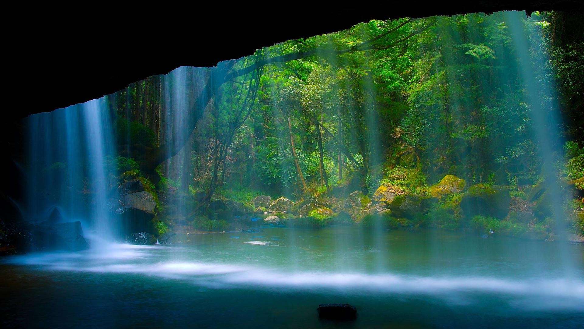 1920x1080 Full Hd Wallpaper.jpg