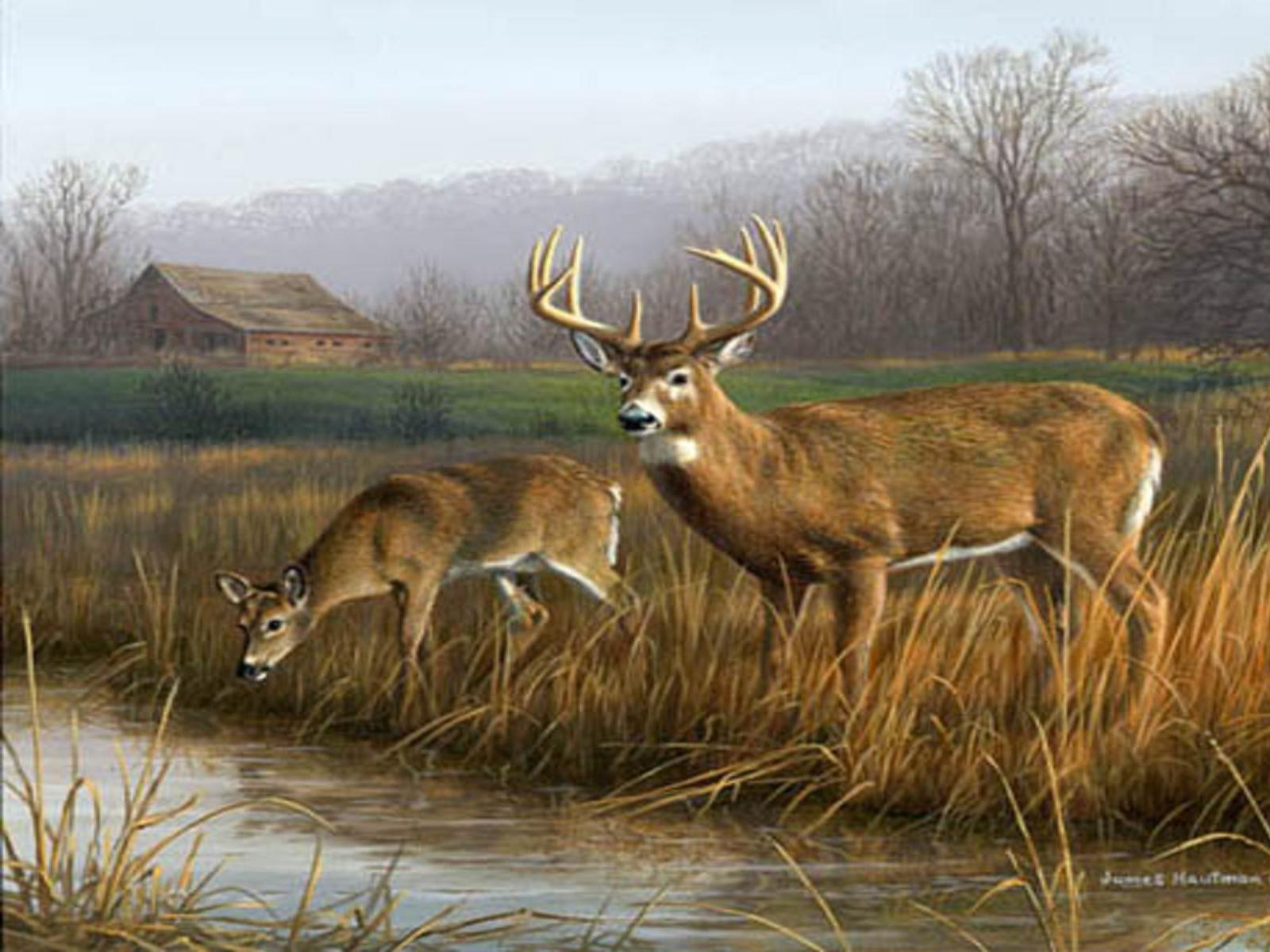 Deer Hunting Picture.jpg