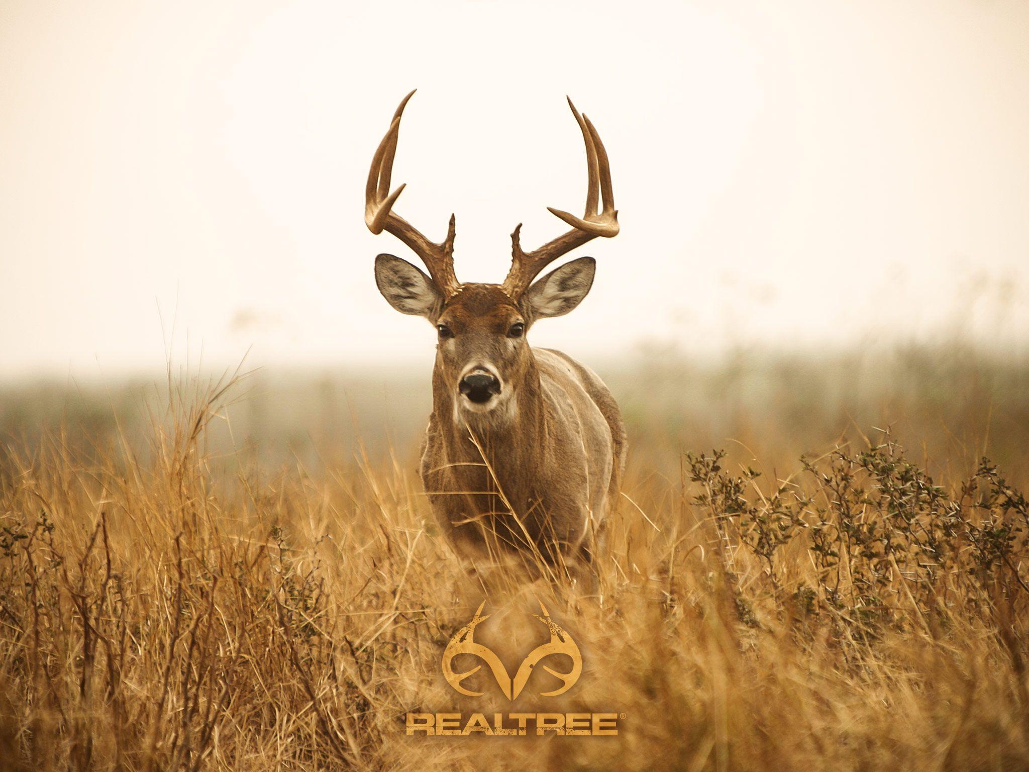 Deer Hunting Pictures.jpg
