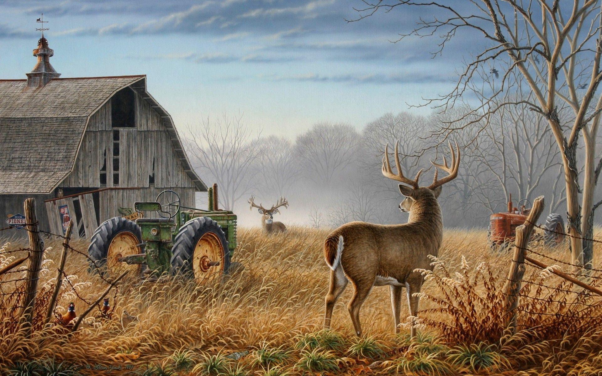 Deer Hunting Wallpapers.jpg