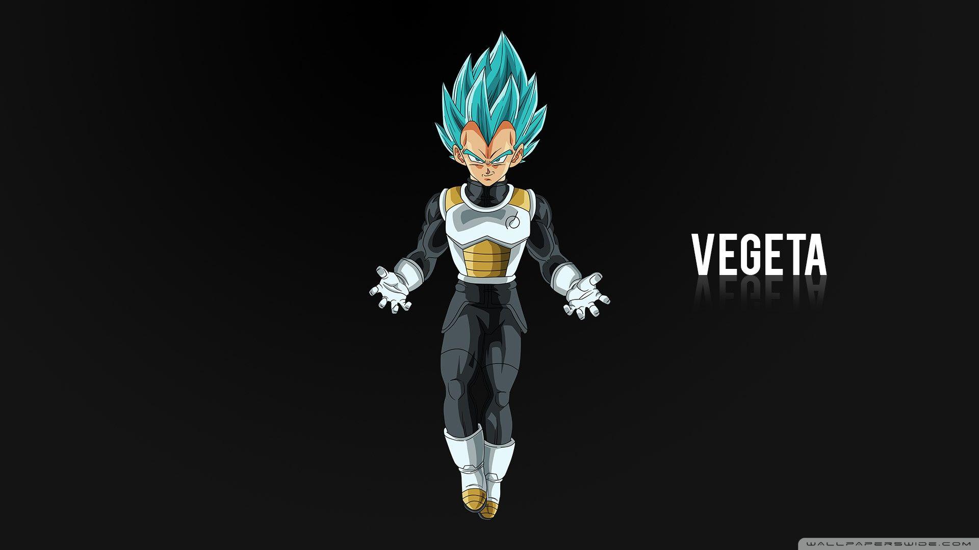 Vegeta Photo.jpg