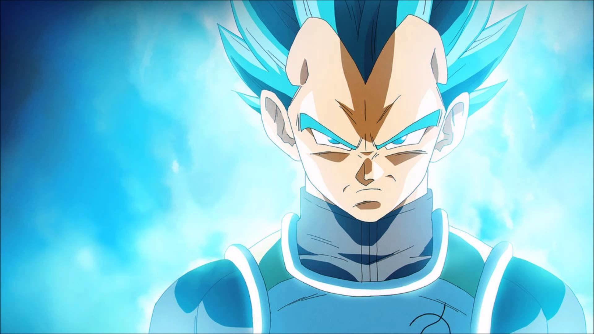 Vegeta Pictures.jpg