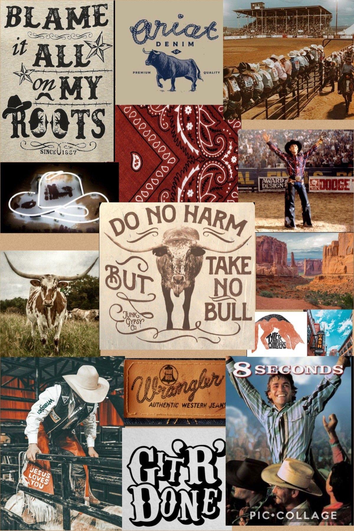 Western Aesthetic Pictures.jpg