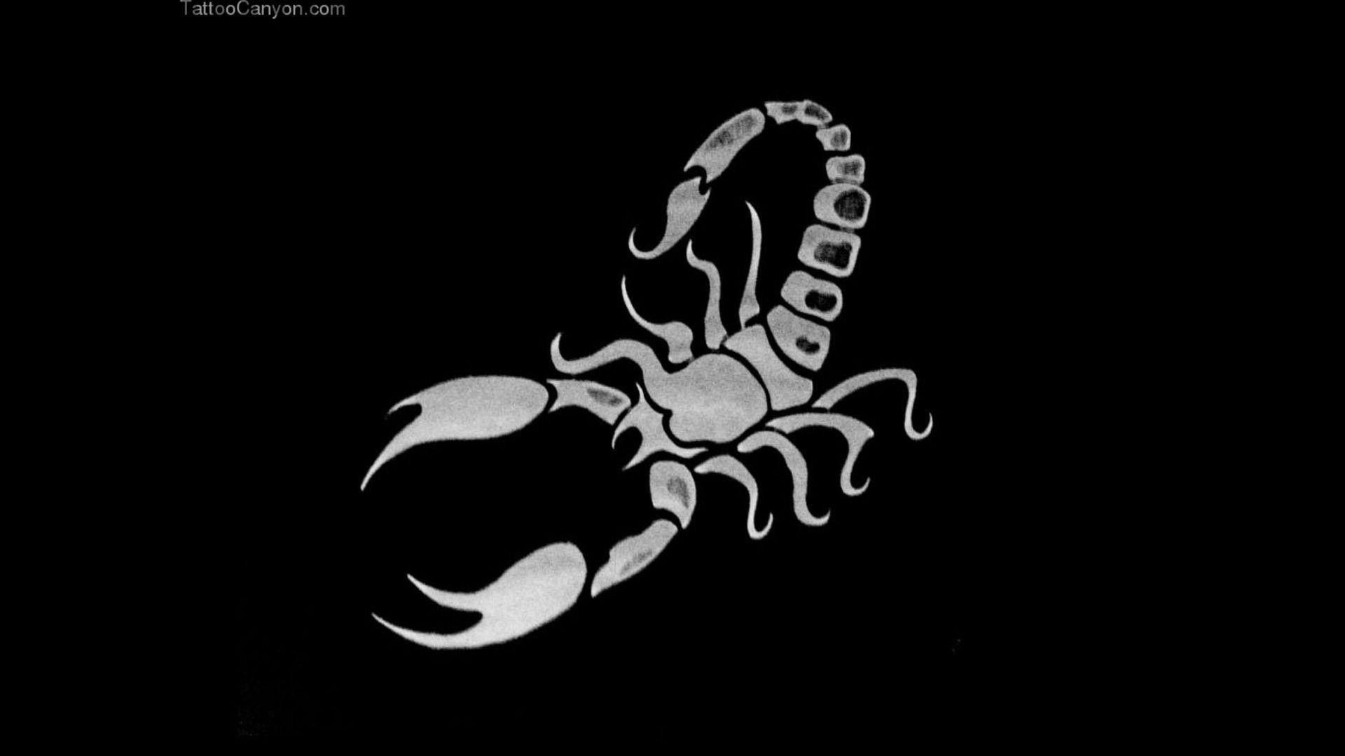 Scorpio picture.jpg