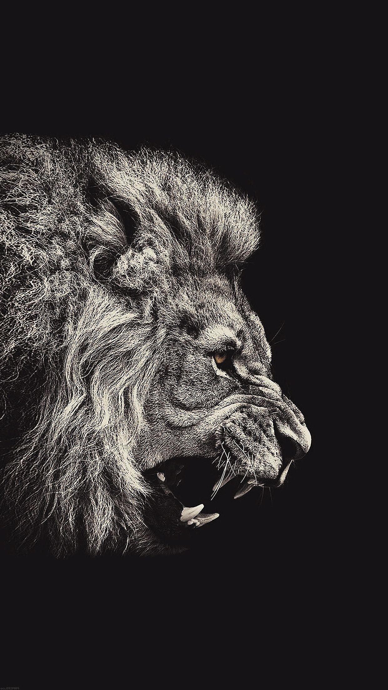 Lion iPhone Pictures.jpg