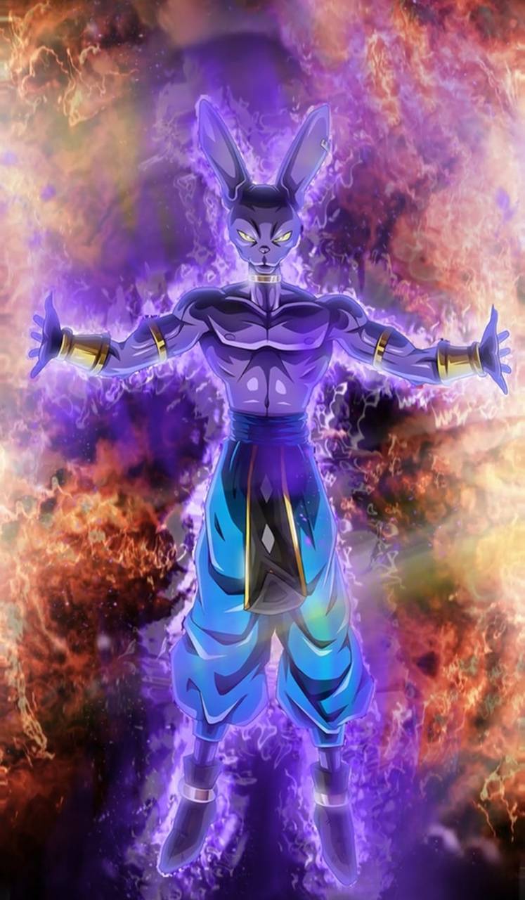 Lord Beerus Wallpapers.jpg