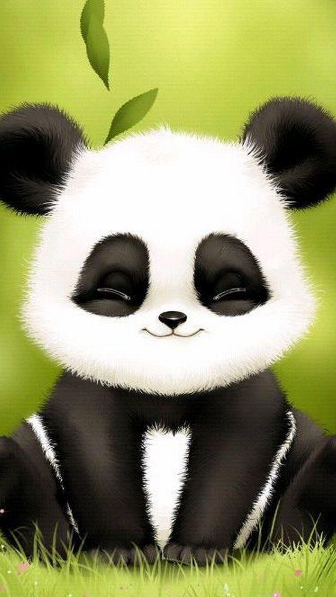 Beautiful Panda image.jpg