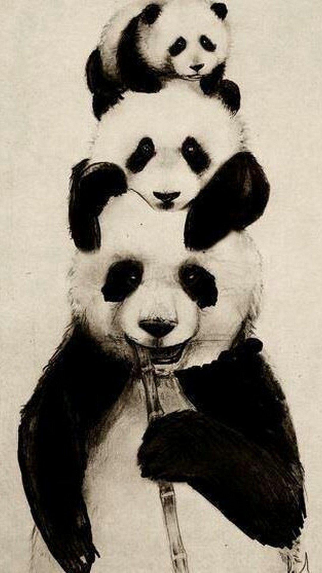 Beautiful Panda pic.jpg