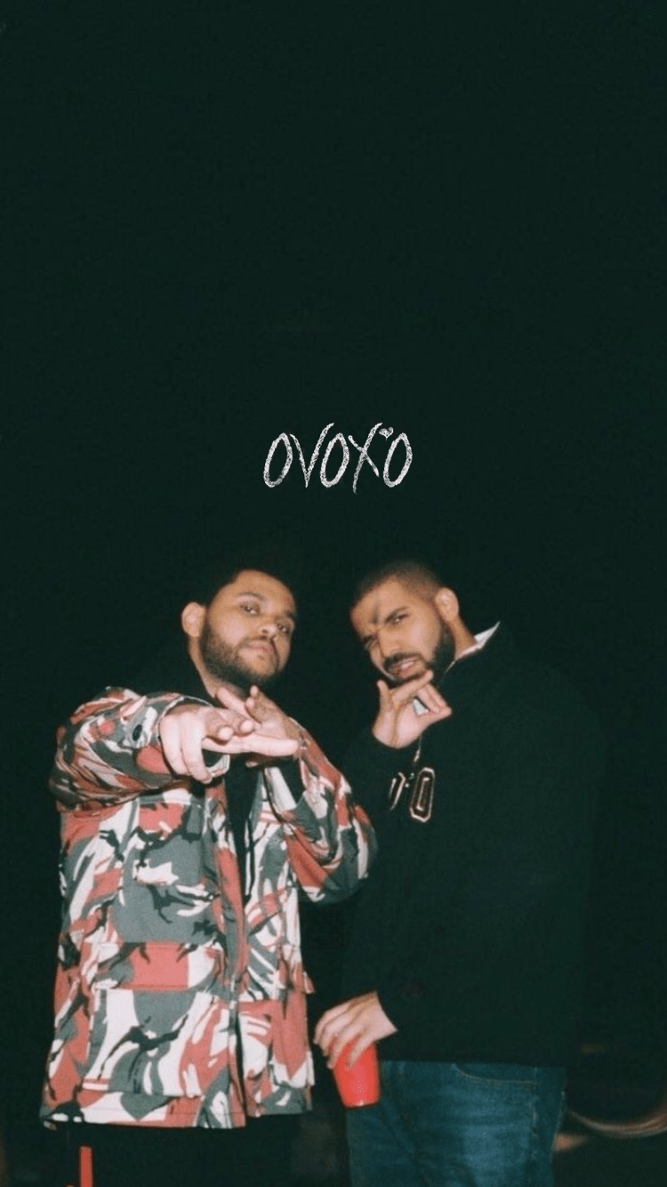 Aesthetic Drake Image.png