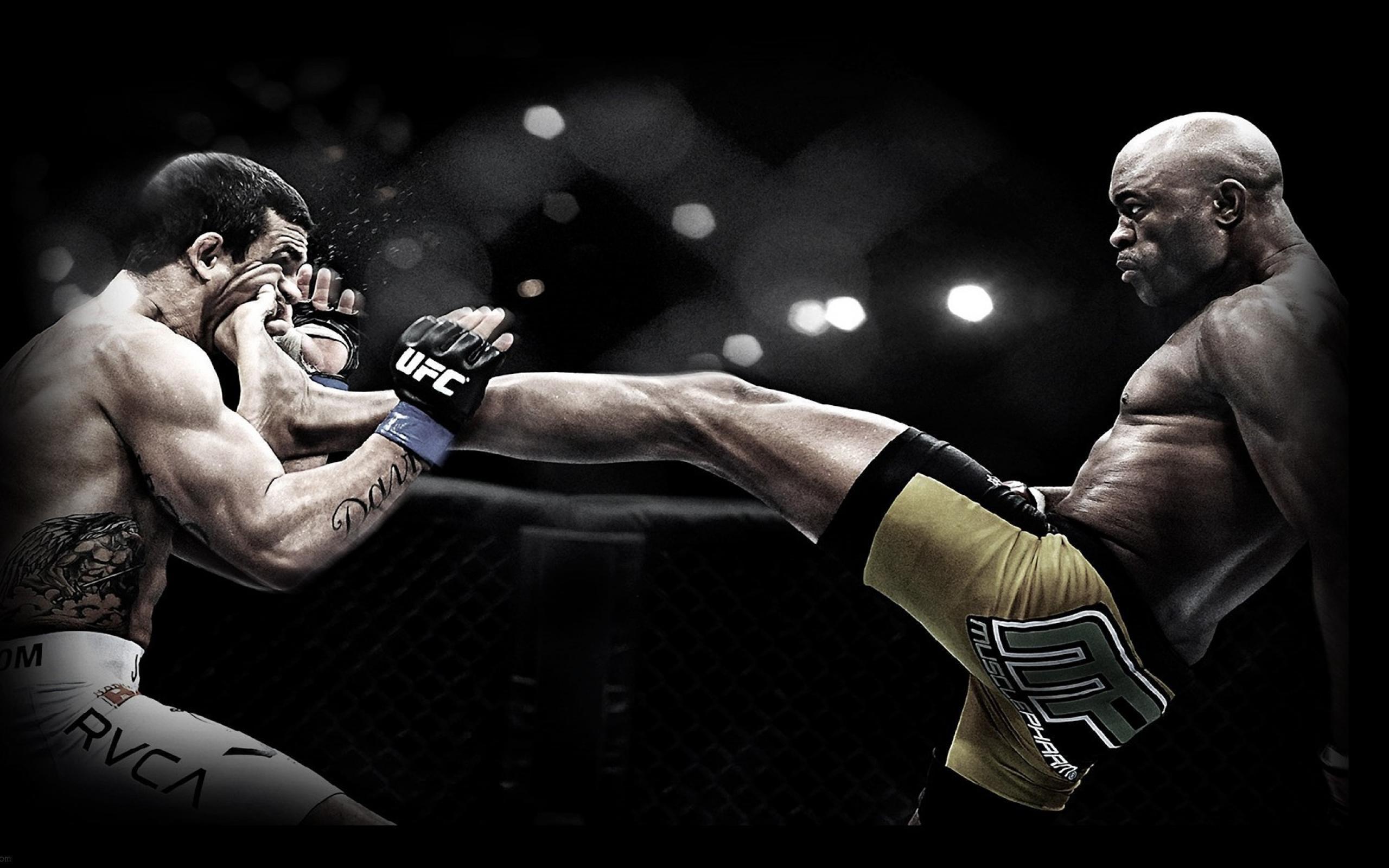 UFC 4Kp wallpaper.jpg