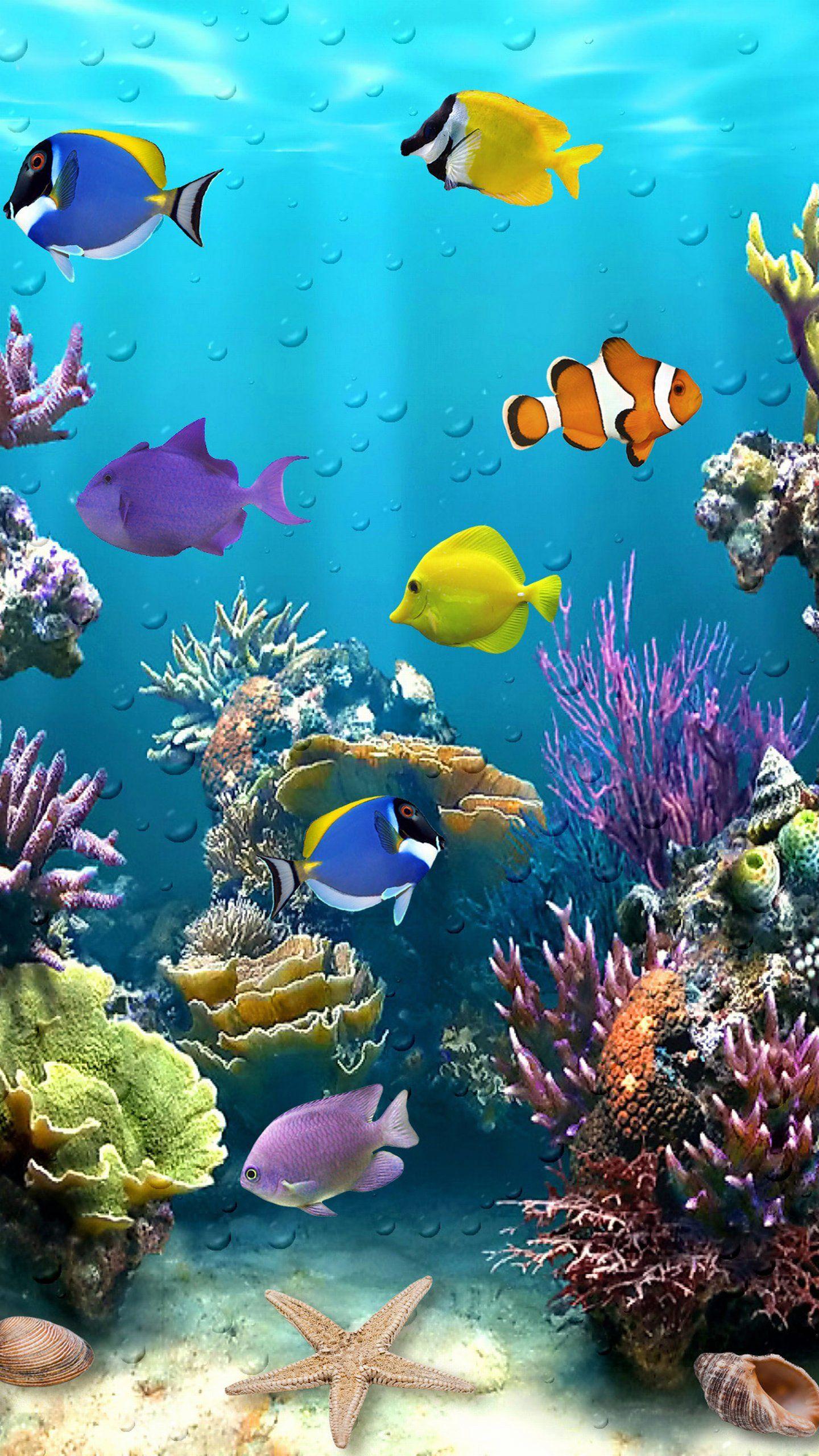 Beautiful Fish wallpaper.jpg