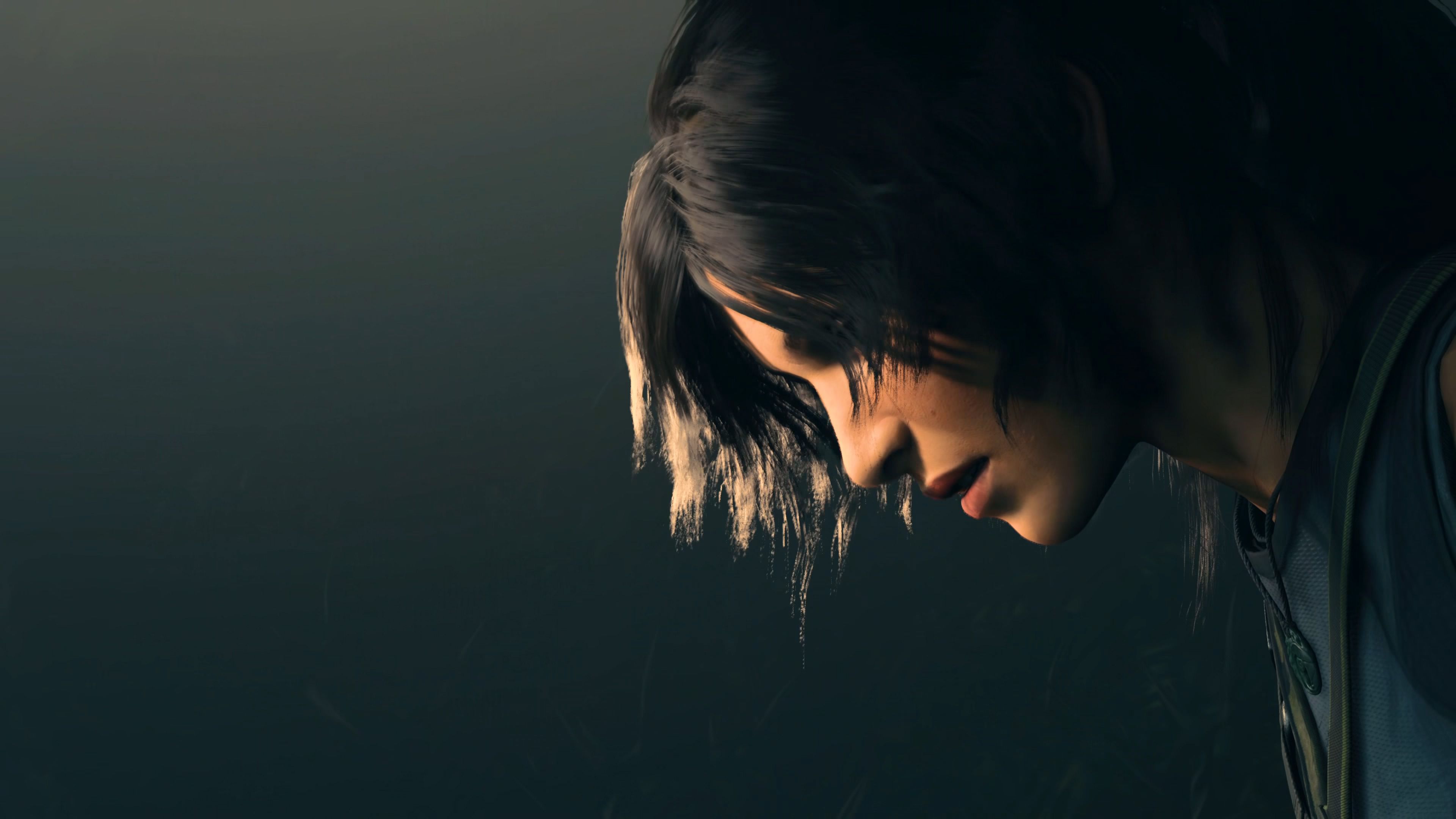 Shadow Of The Tomb Raider Picture.jpg