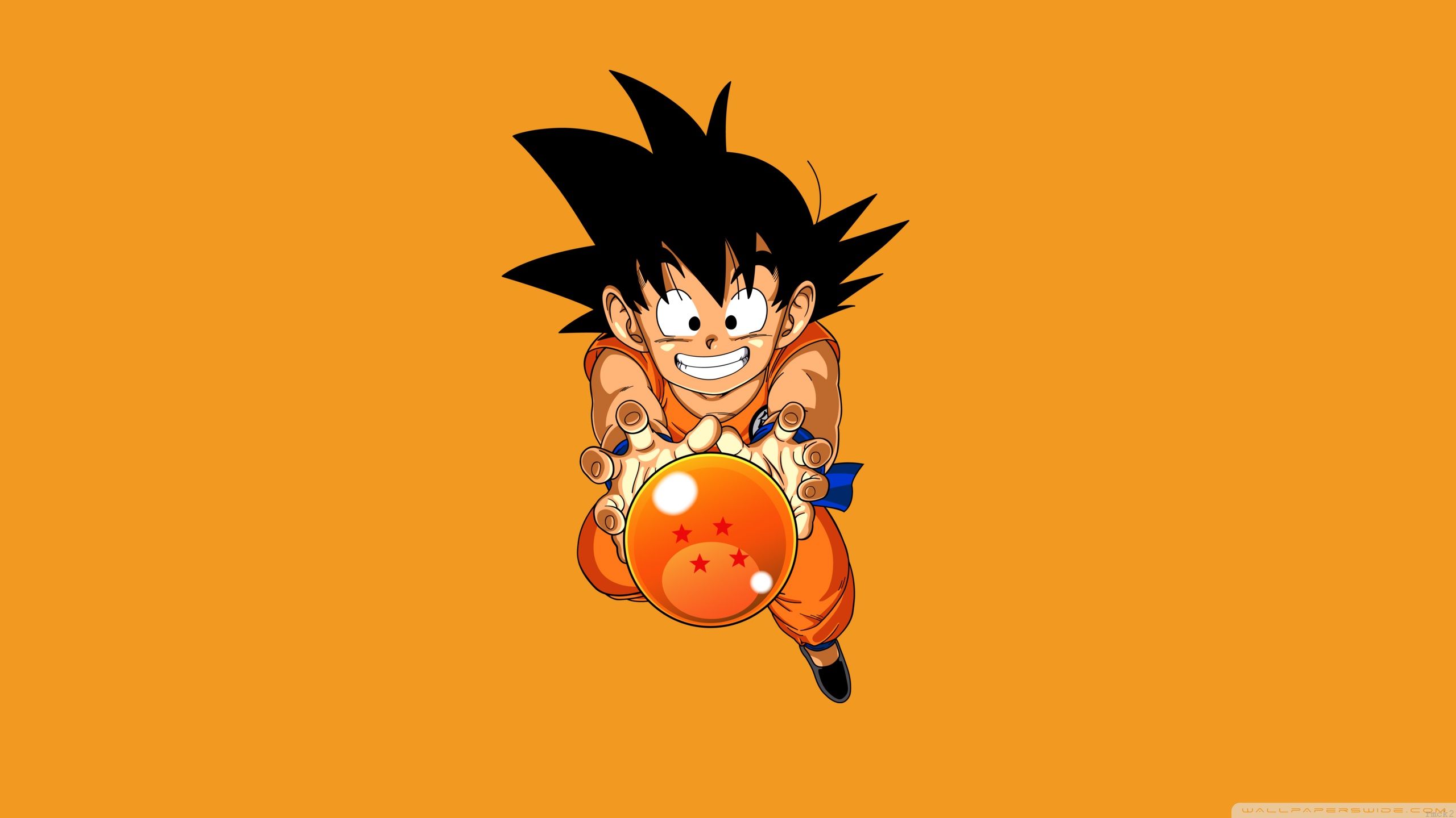 Goku Photos.jpg