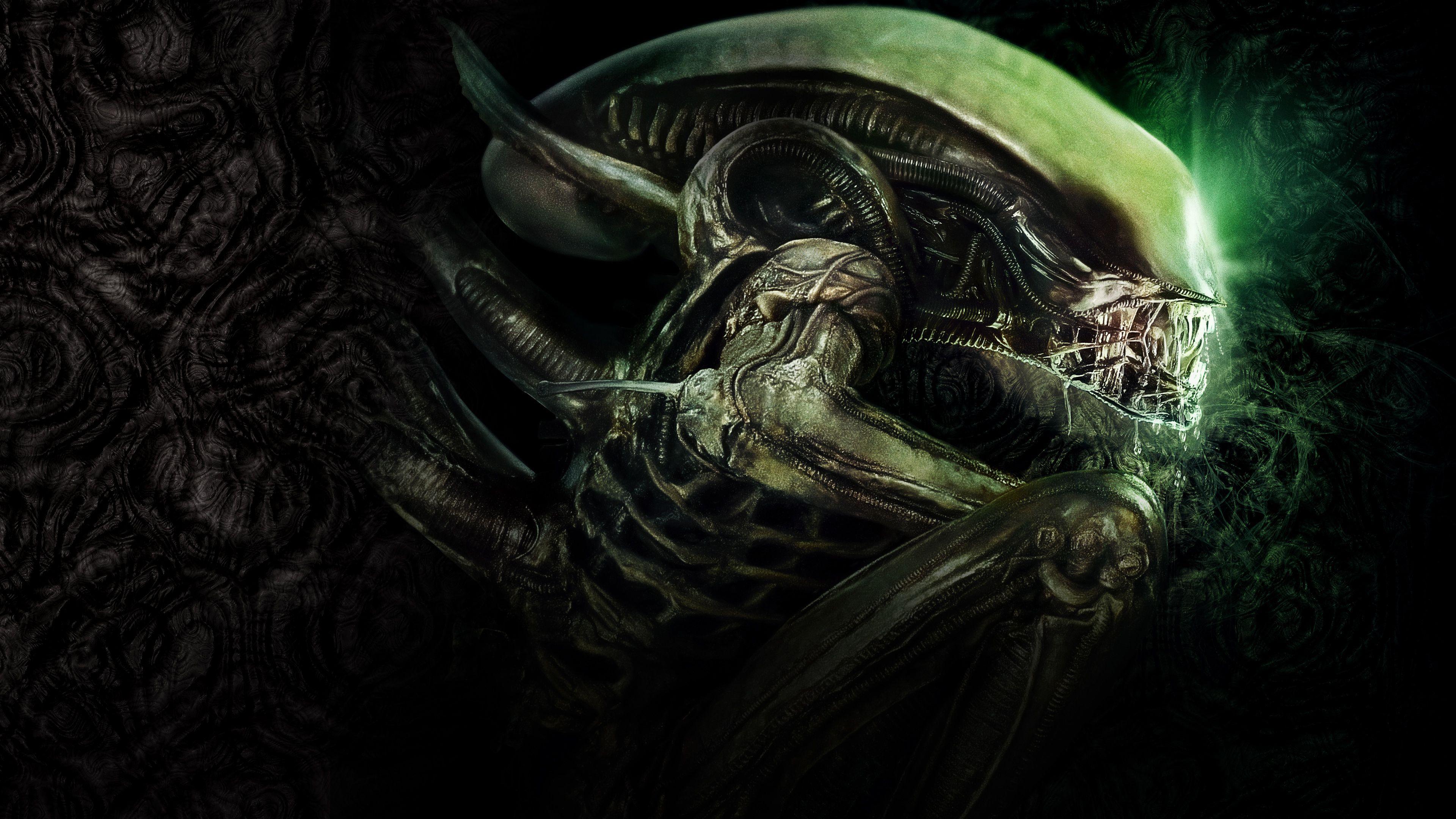 Alien 4K Picture.jpg