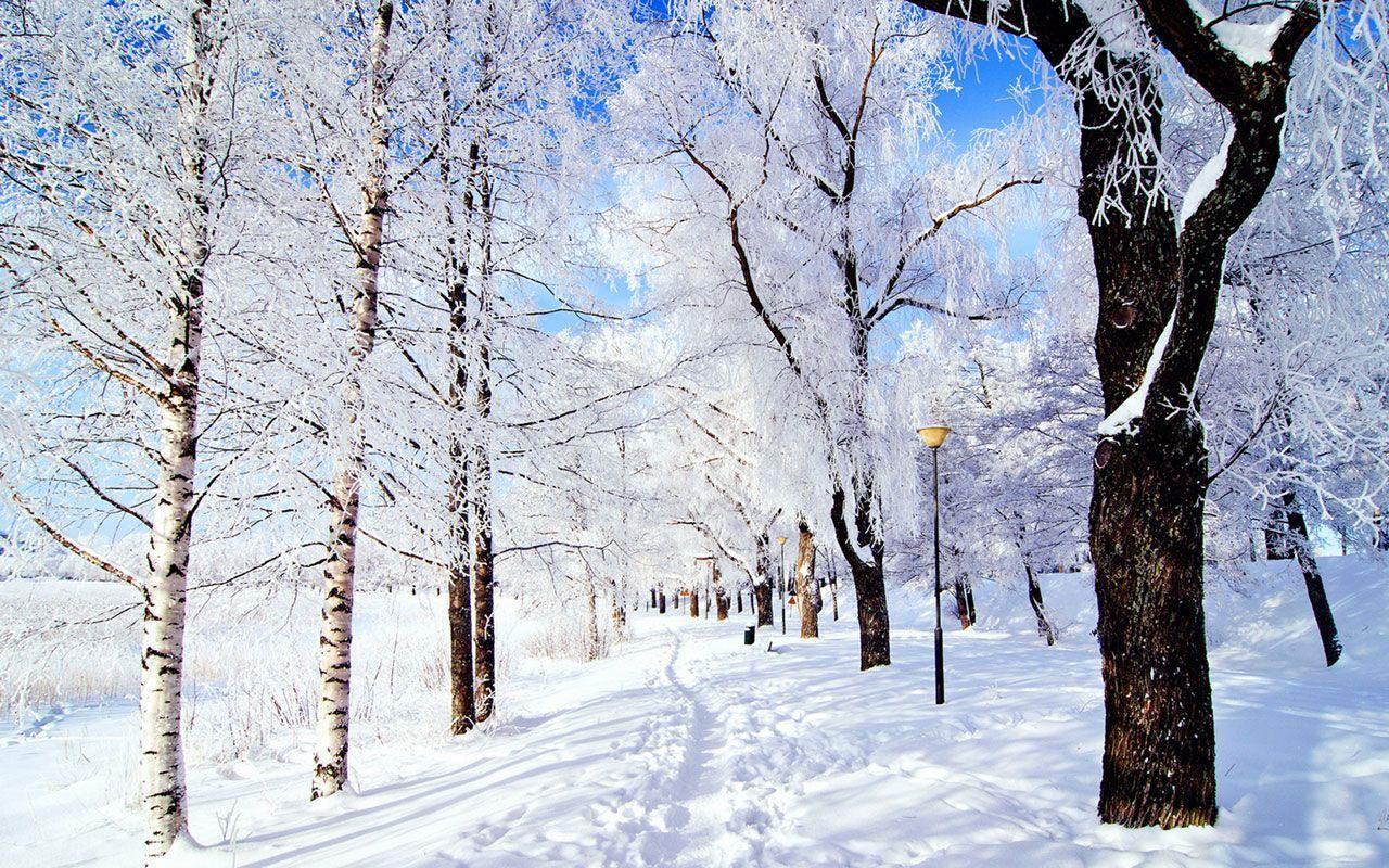 Aesthetic Snow Wallpapers.jpg