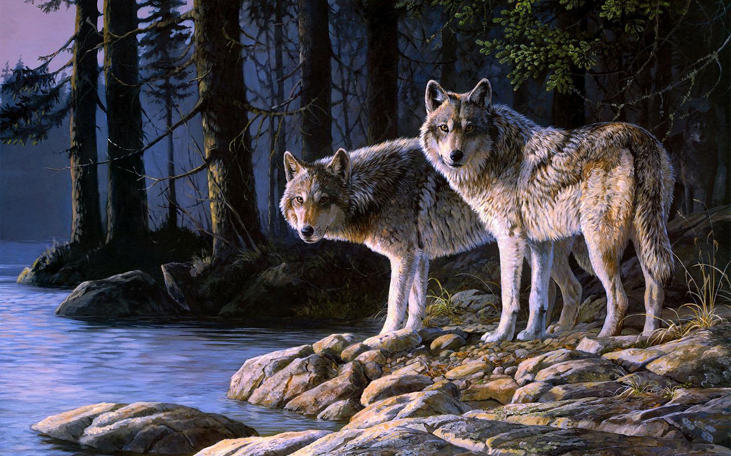 Cool Wolf Image.jpg