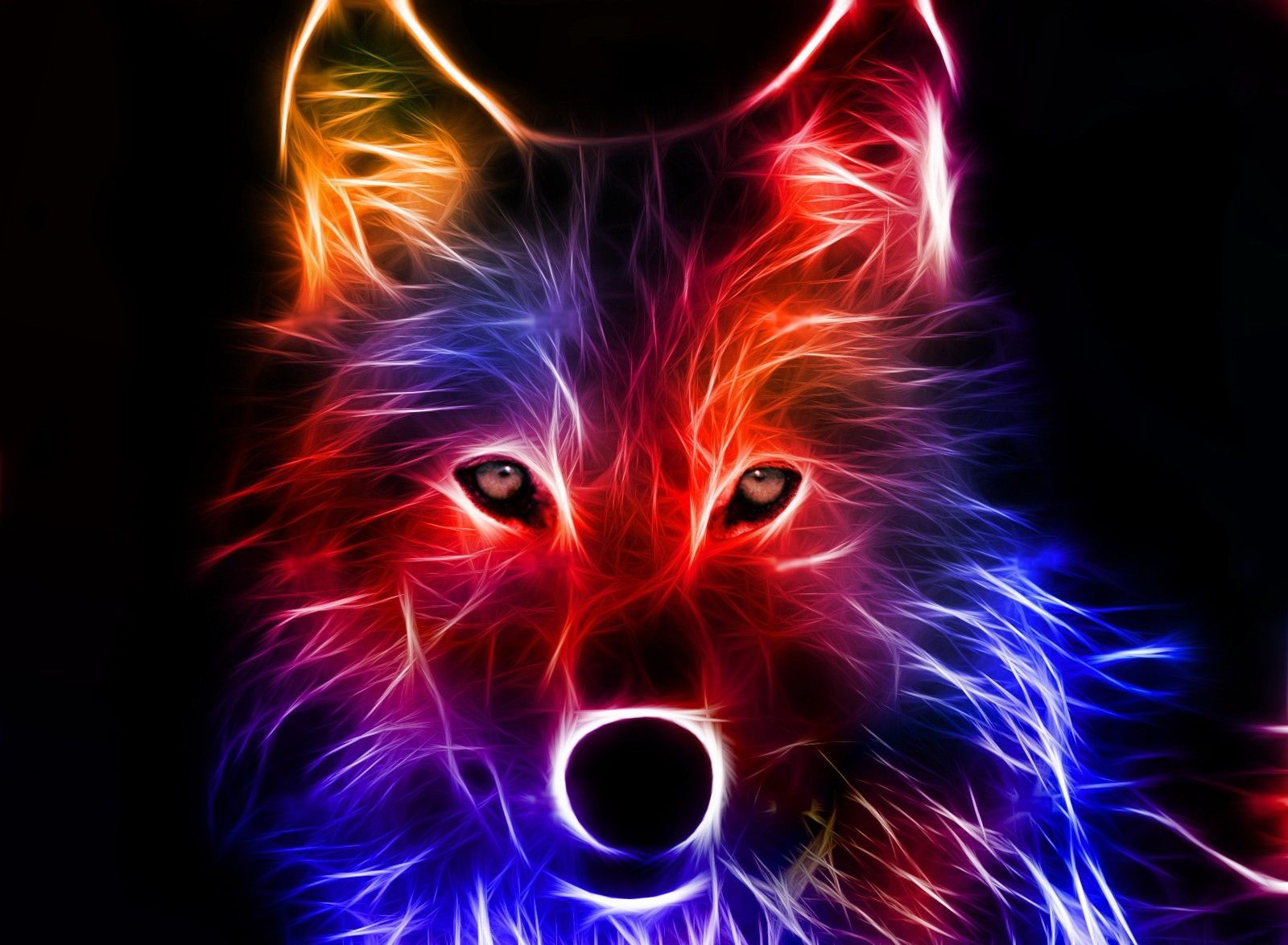 Cool Wolf Wallpaper.jpg