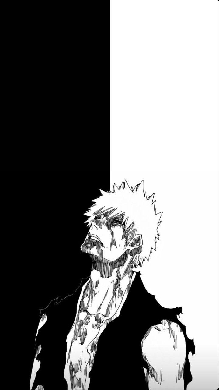 Bleach Manga Panel picture.jpg