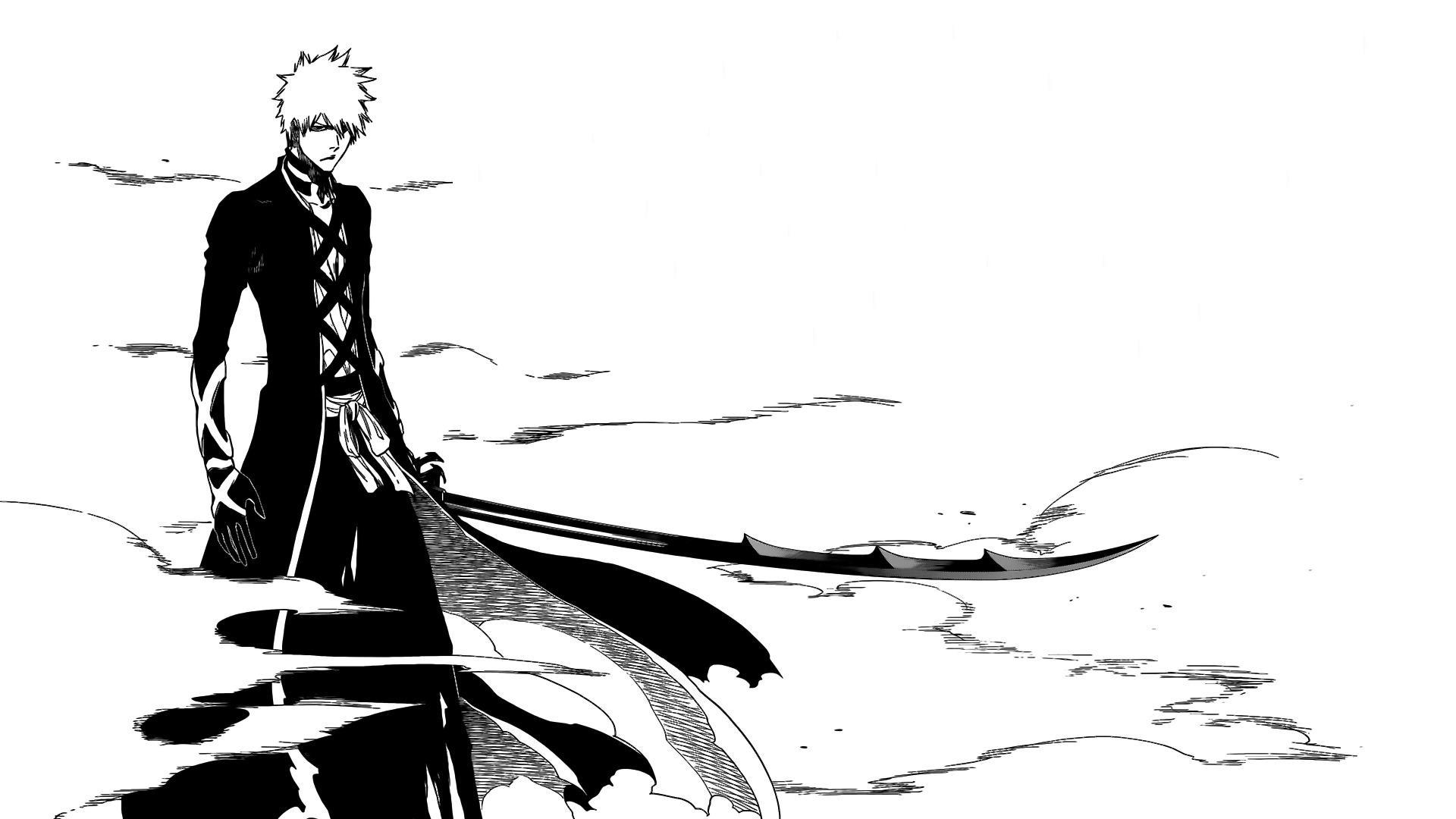 Bleach Manga Panel pictures.jpg