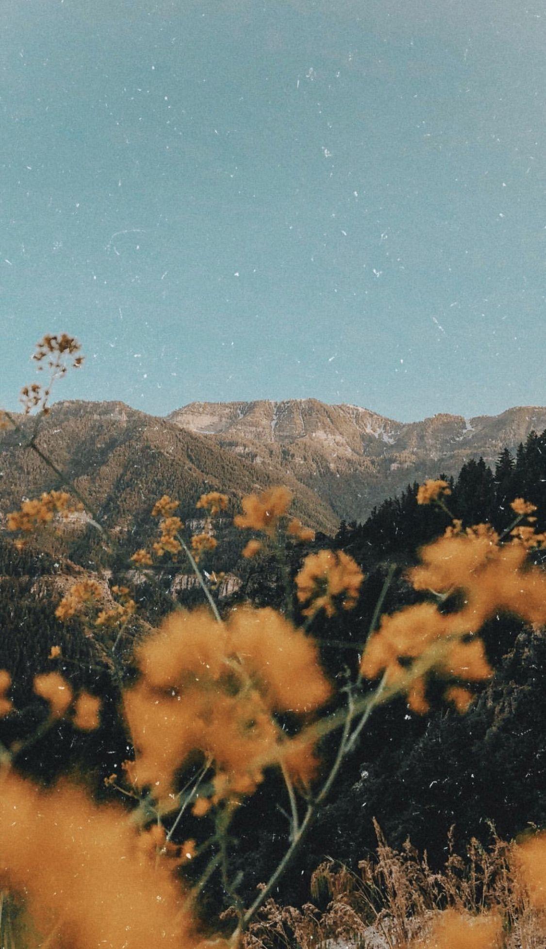 Mountain Aesthetic Images.jpg