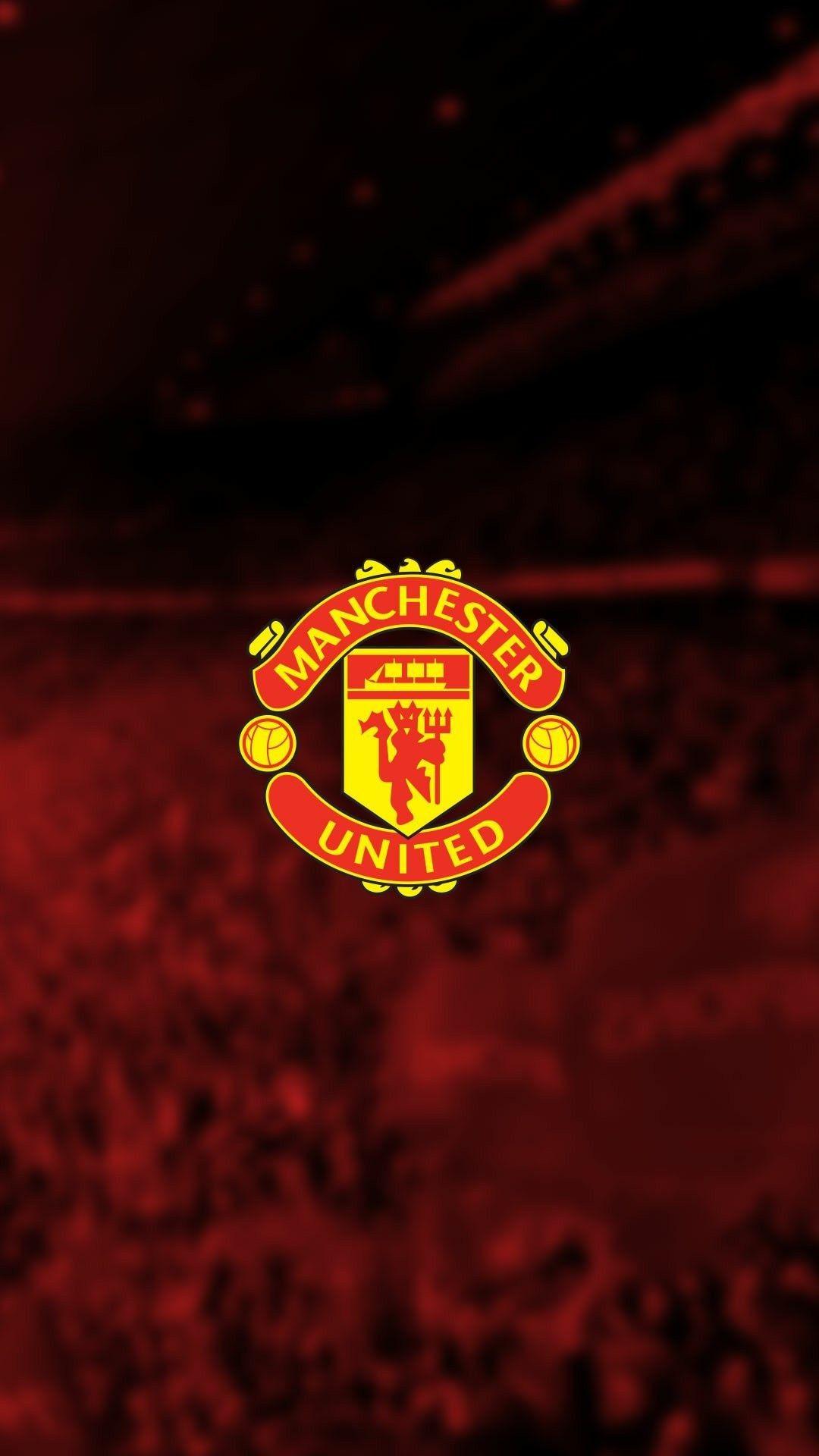 Manchester United picture.jpg