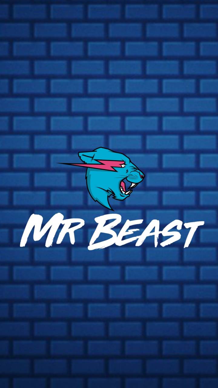 Mr Beast Images.jpg