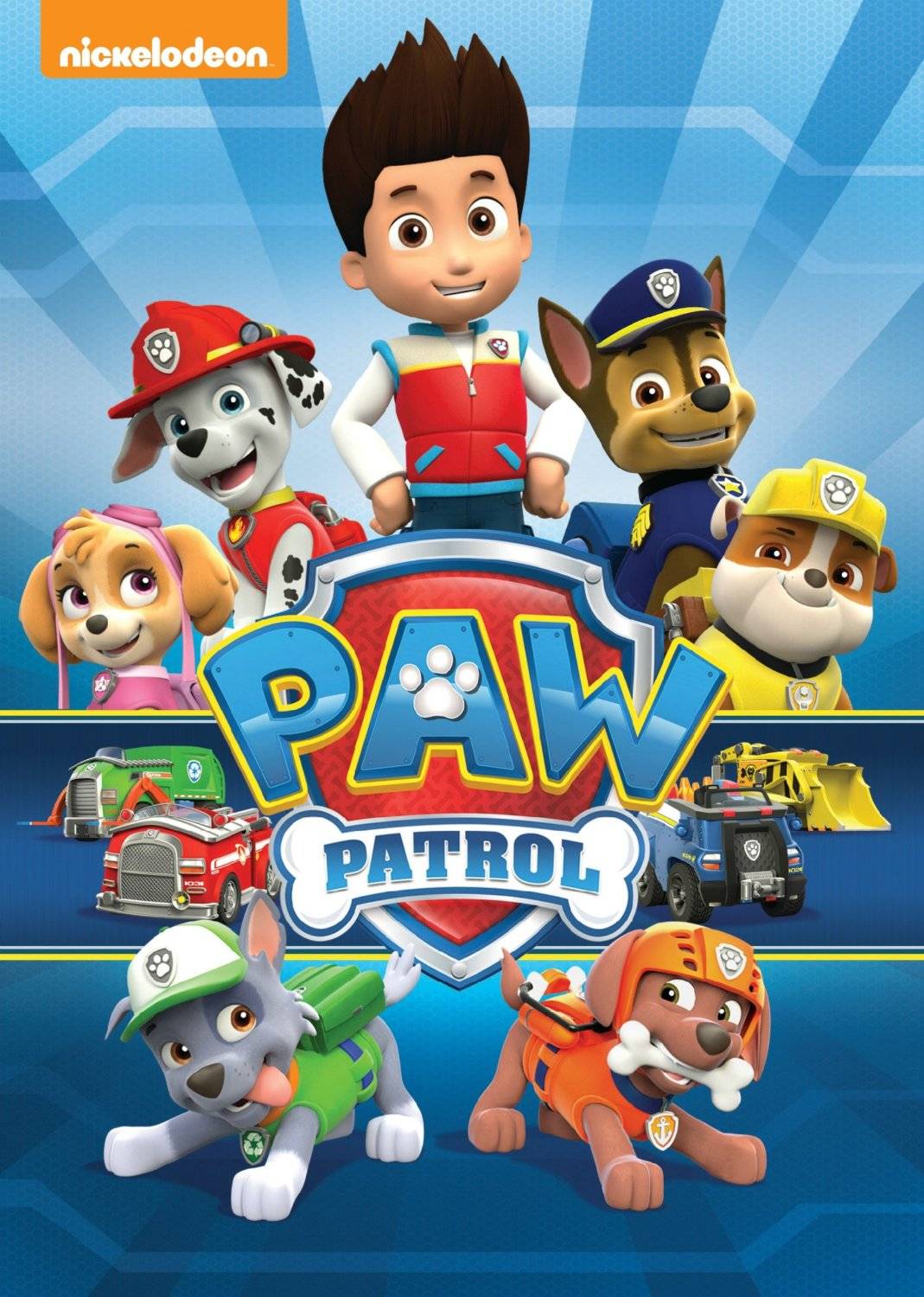 Paw Patrol picture.jpg