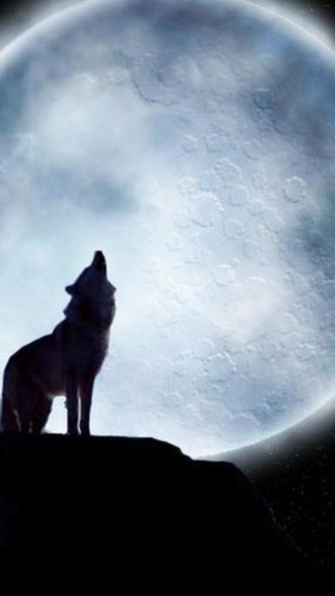 Wolf iPhone Images.jpg