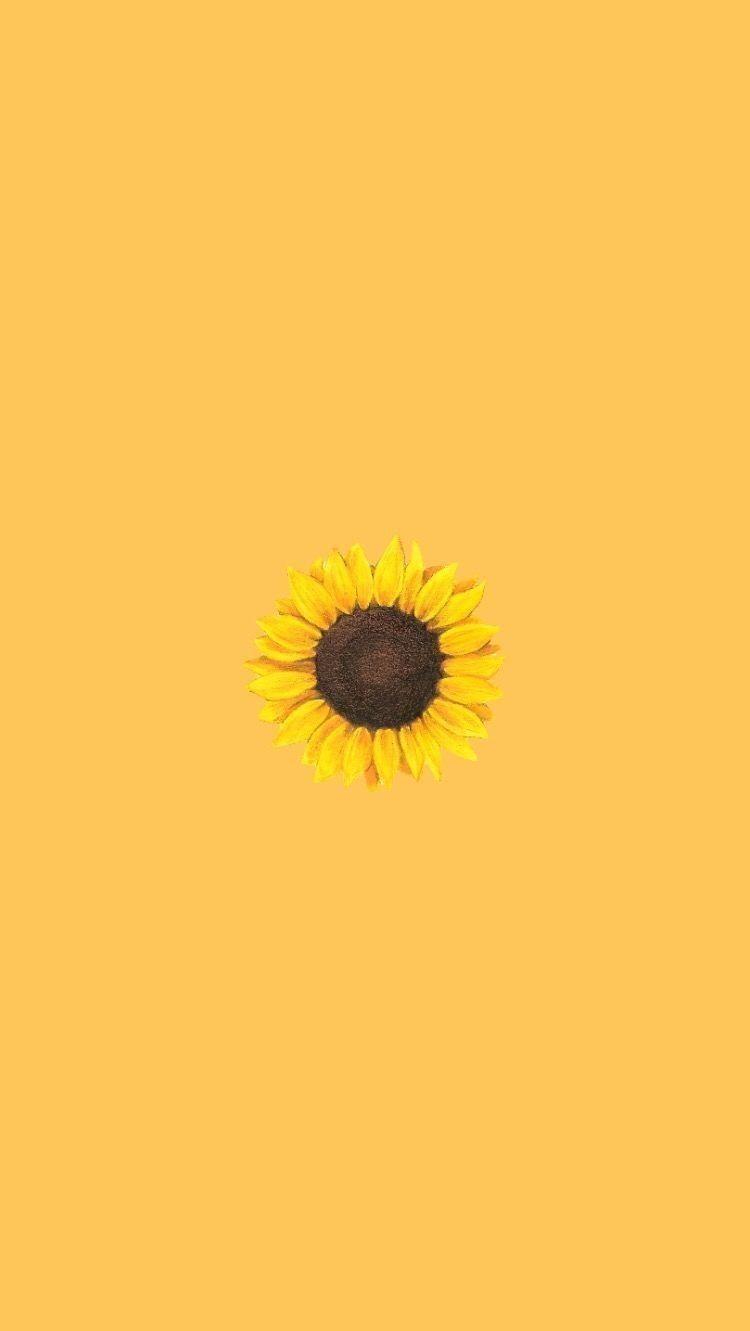 Aesthetic Sunflower Phone image.jpg