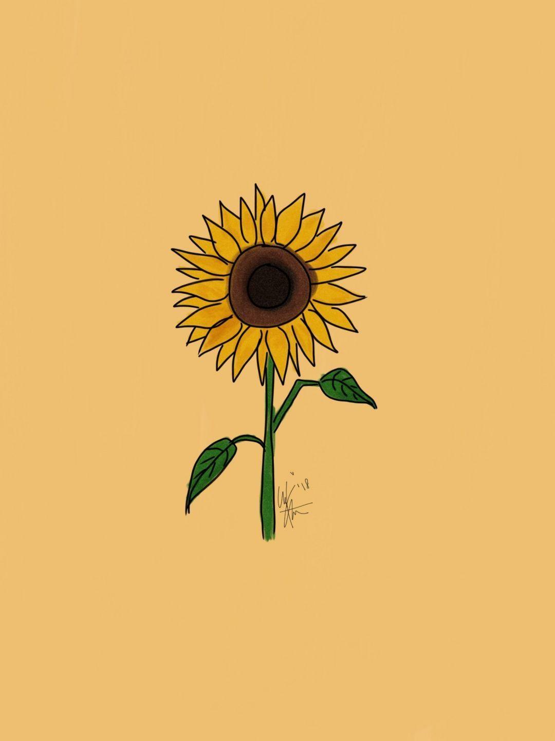 Aesthetic Sunflower Phone wallpapers.jpg