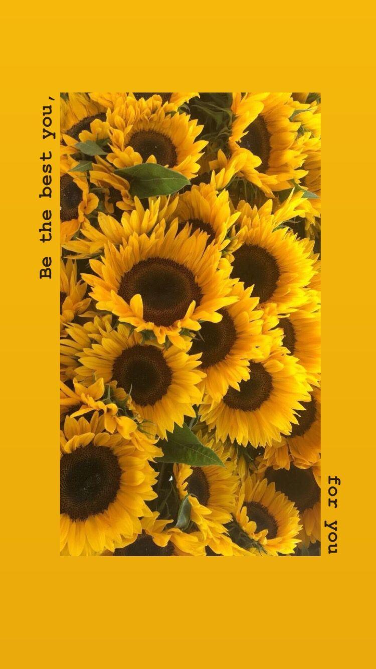 Aesthetic Sunflower Phone wallpaper.jpg