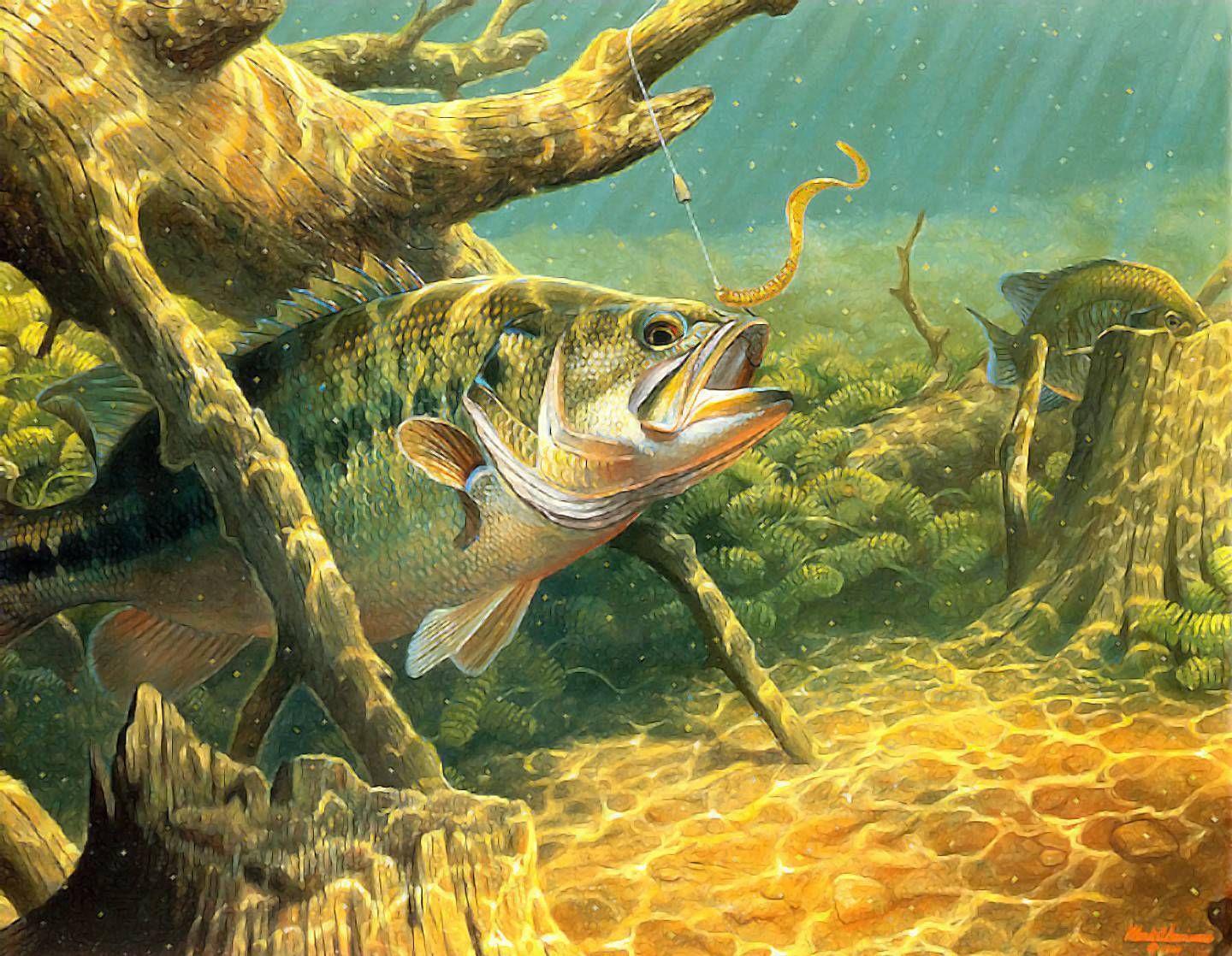 Bass Fishing Image.jpg