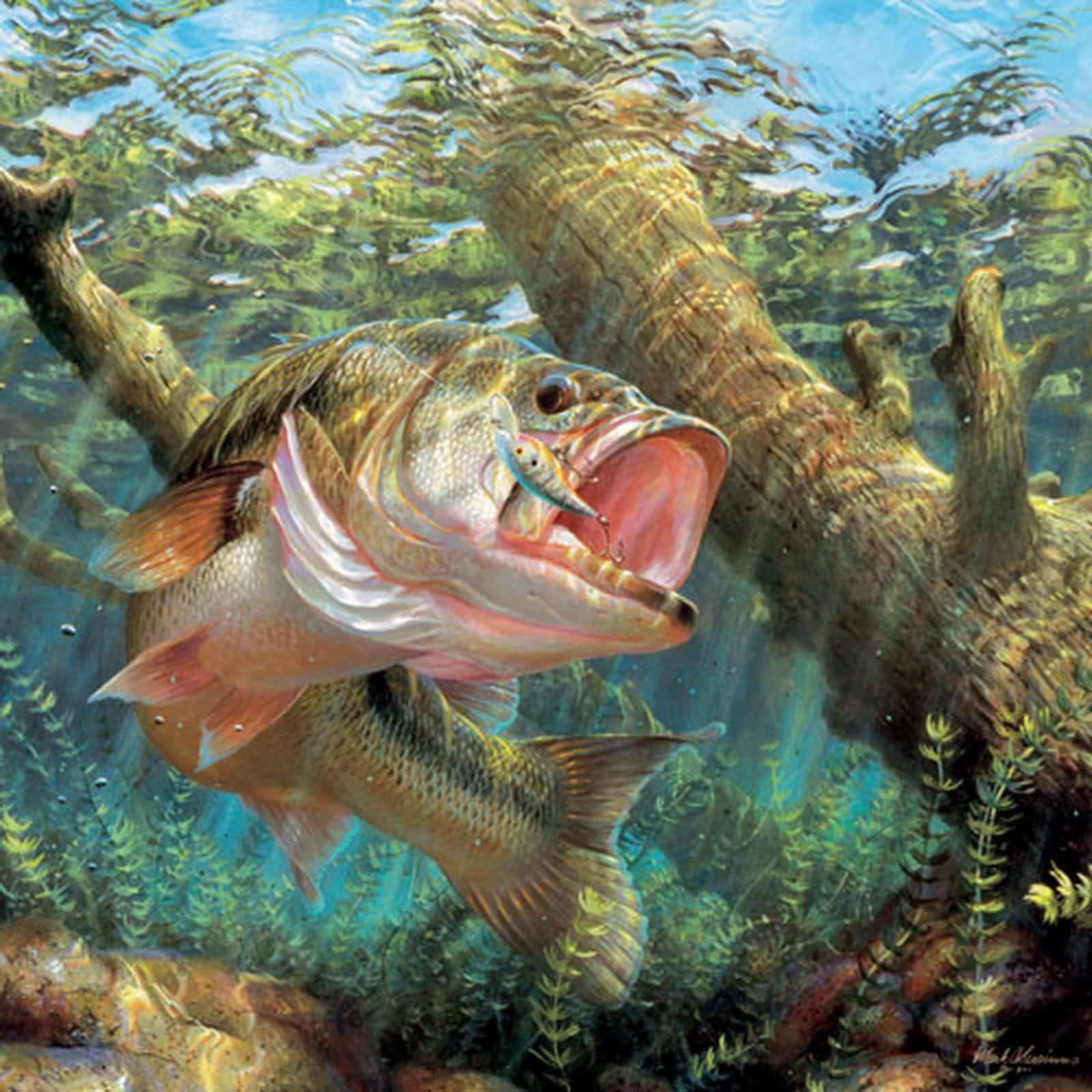 Bass Fishing Images.jpg