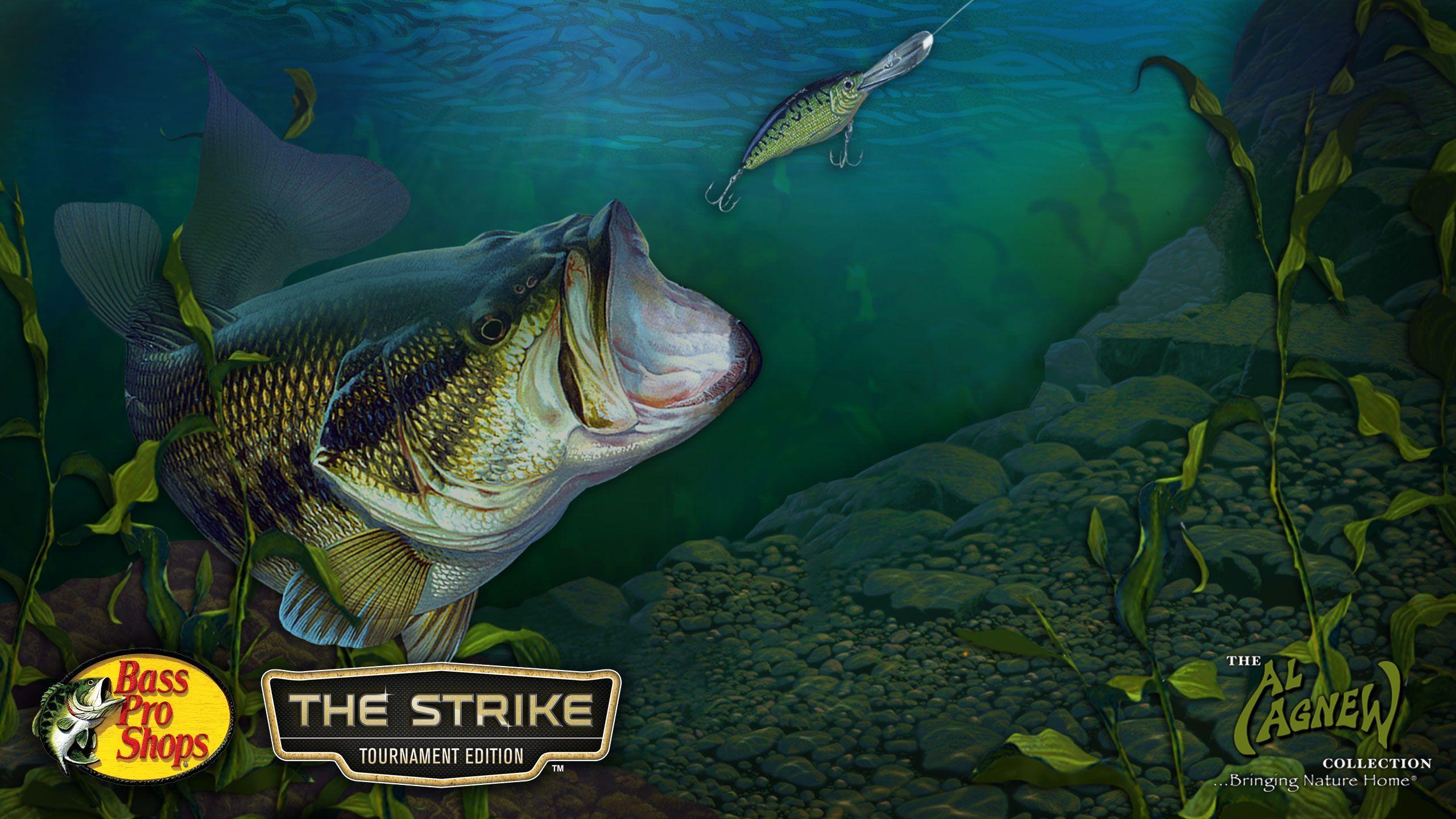 Bass Fishing Picture.jpg
