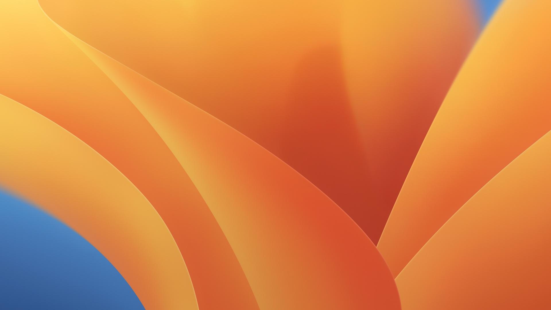 macOS Ventura Pictures.jpg