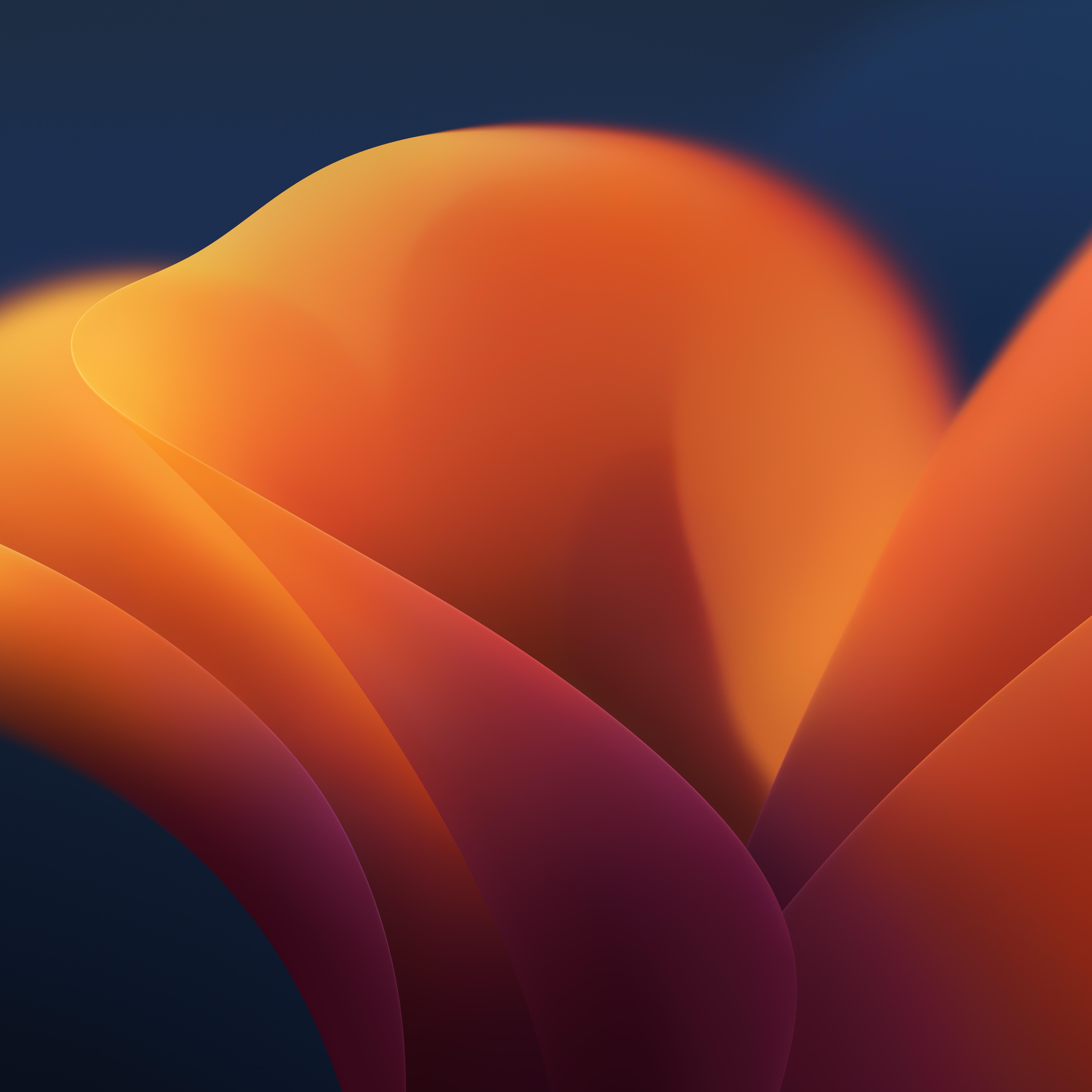 macOS Ventura Images.jpg