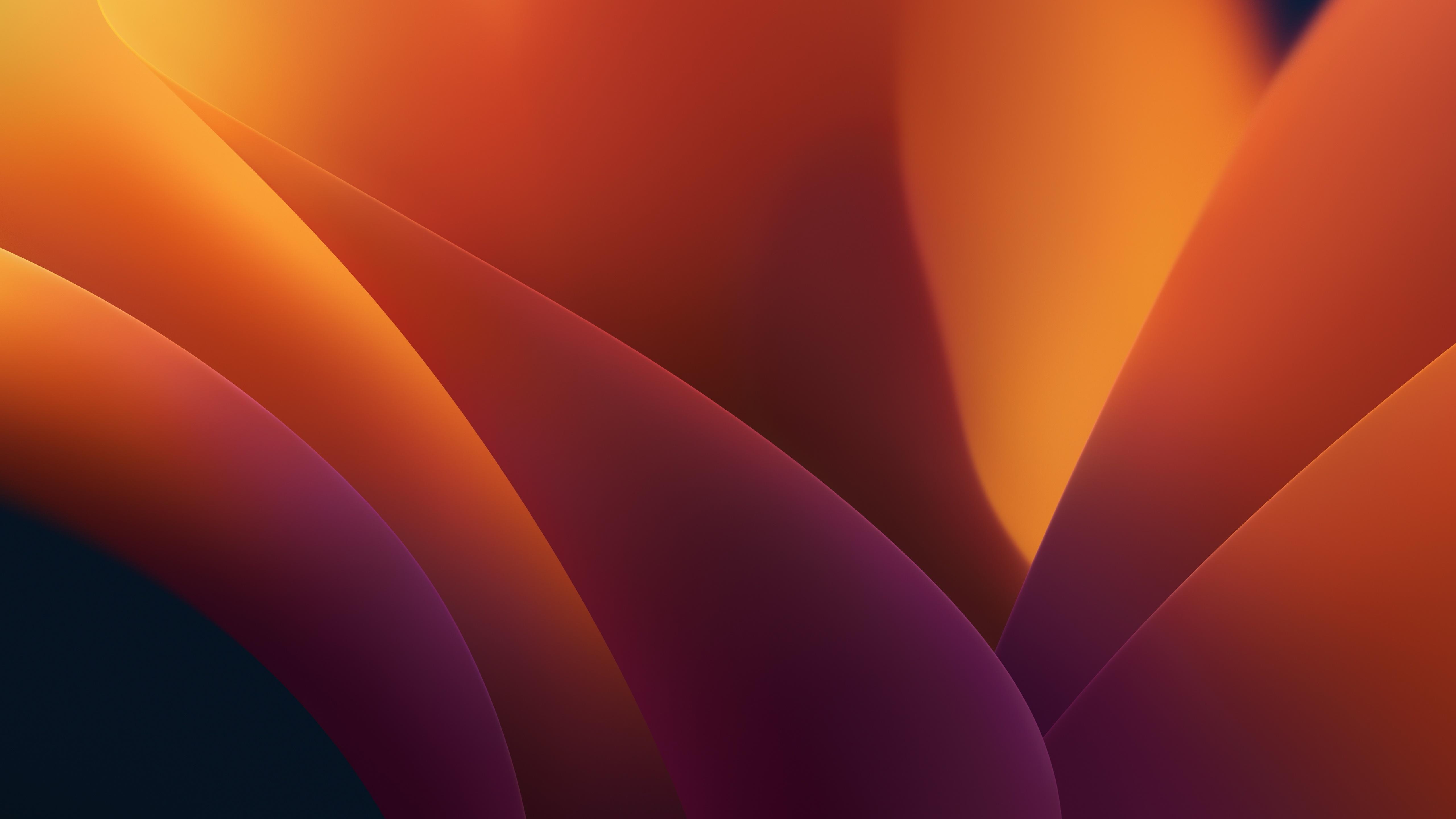 macOS Ventura Wallpapers.jpg