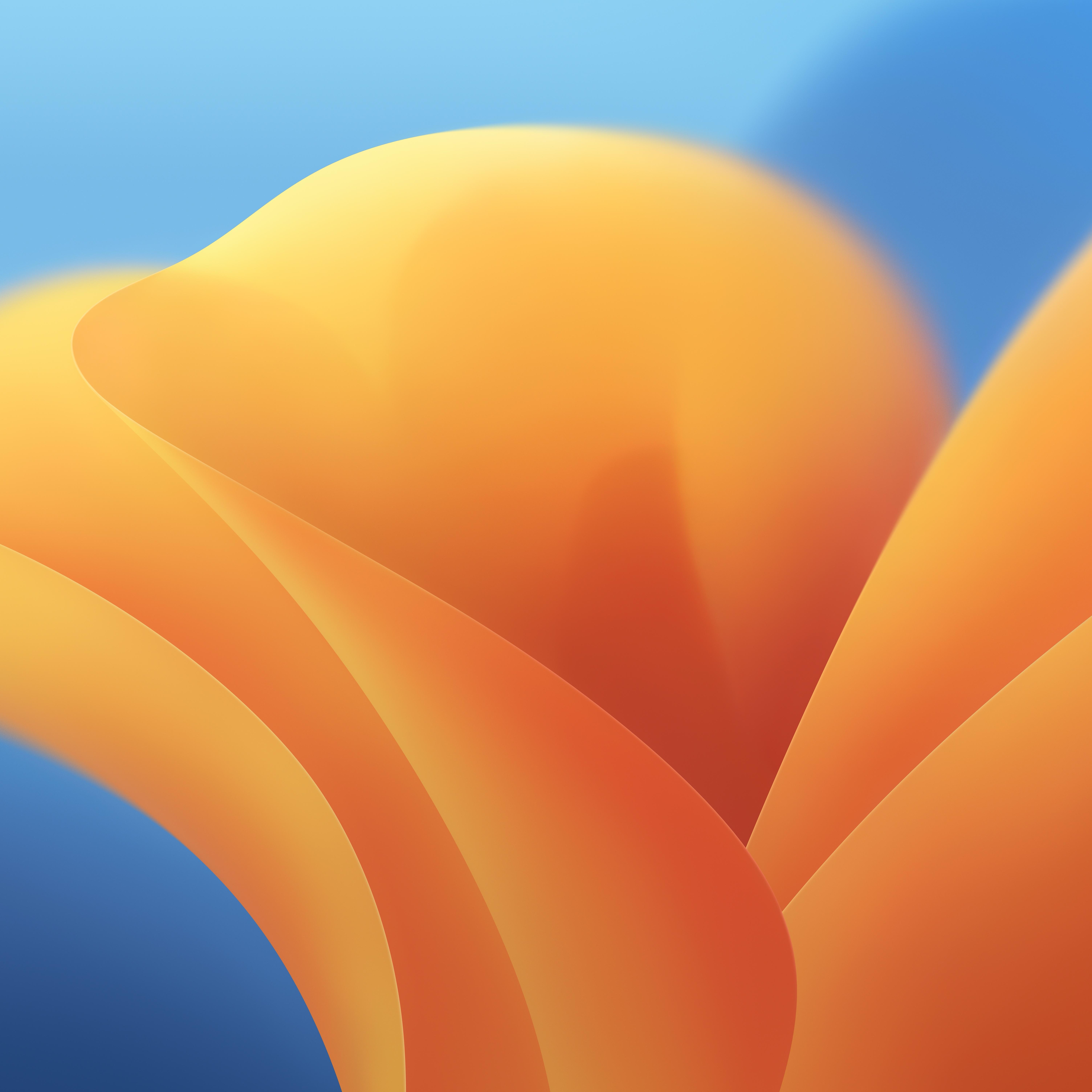 macOS Ventura Wallpaper.jpg