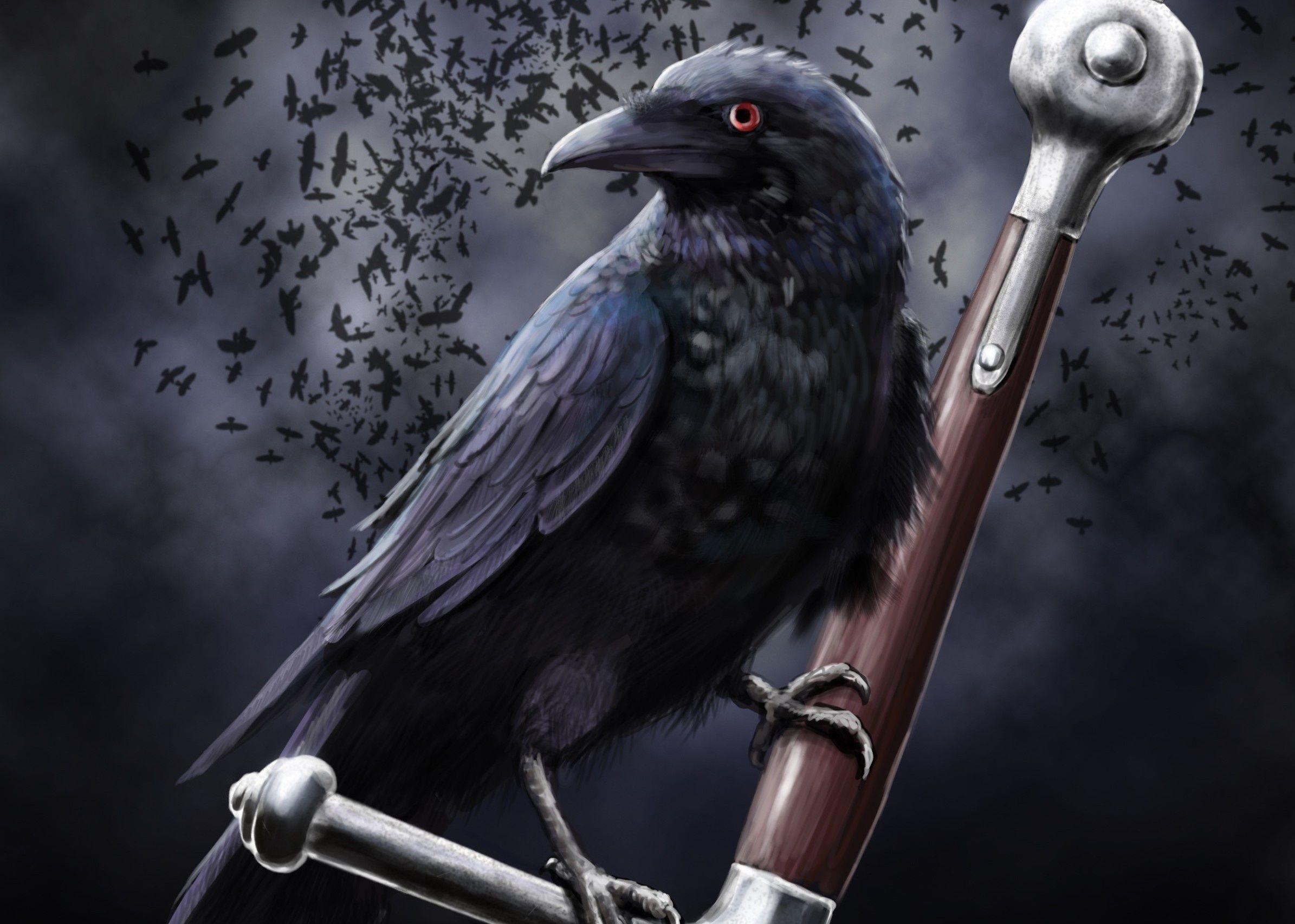 Gothic Raven wallpaper.jpg