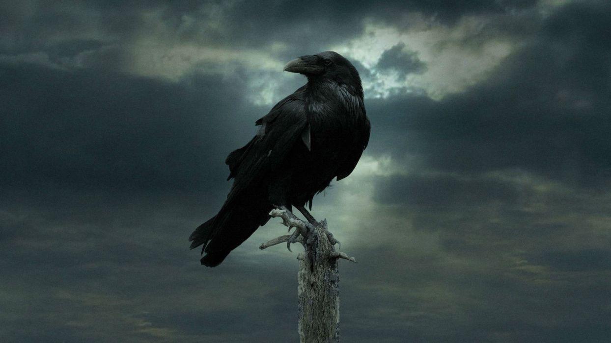 Gothic Raven wallpapers.jpg