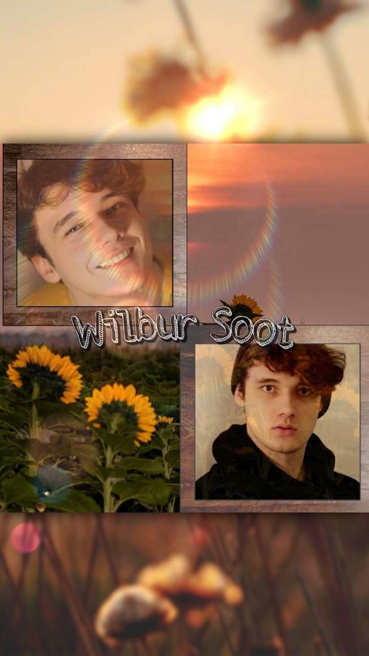 Wilbur Soot Wallpaper.jpg