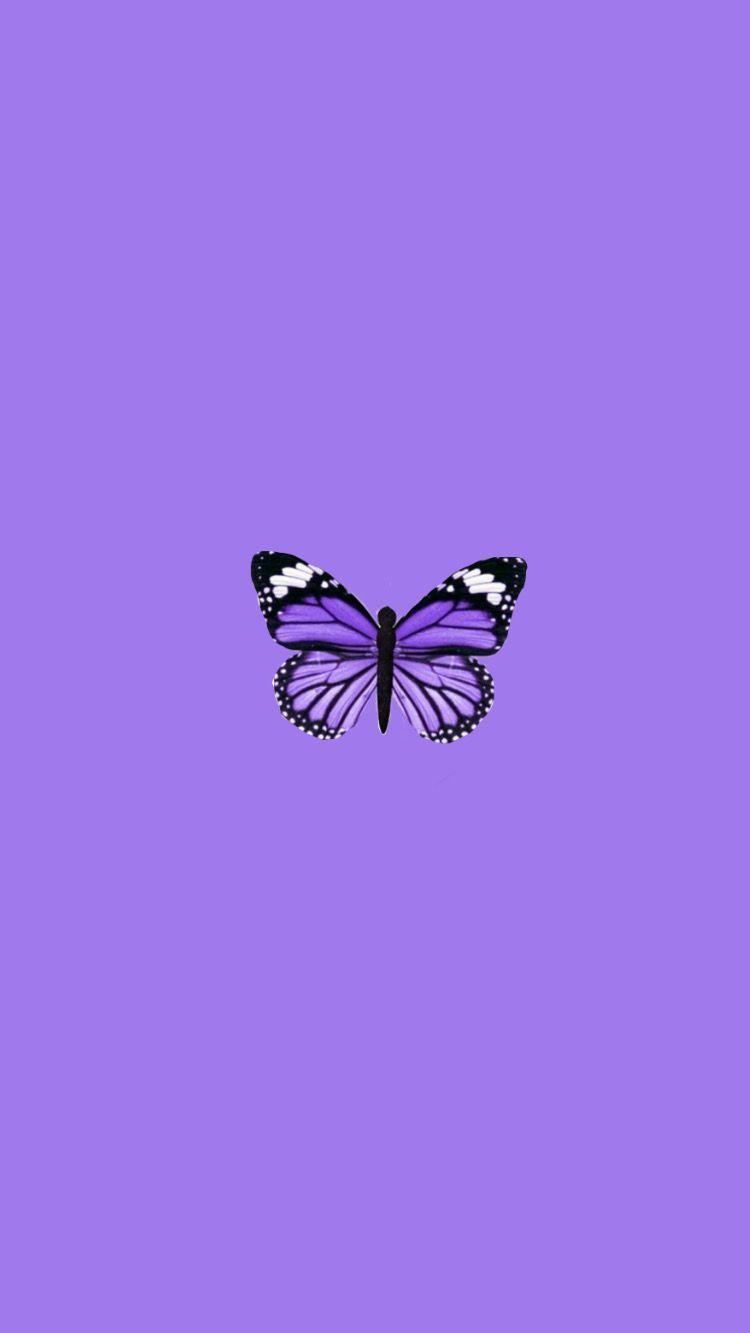 Purple Butterfly Phone pictures.jpg