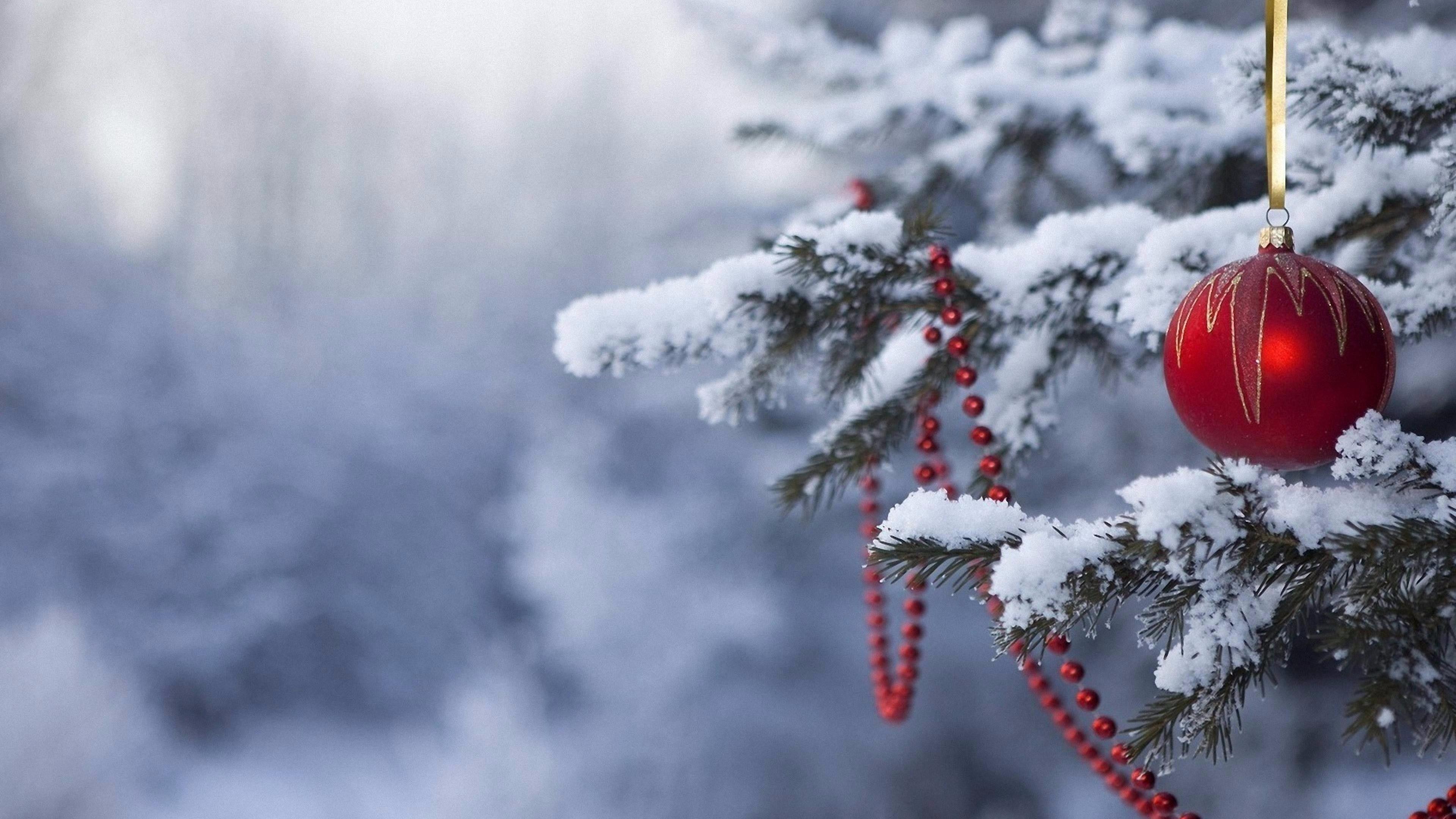 Snowy Christmas Image.jpg