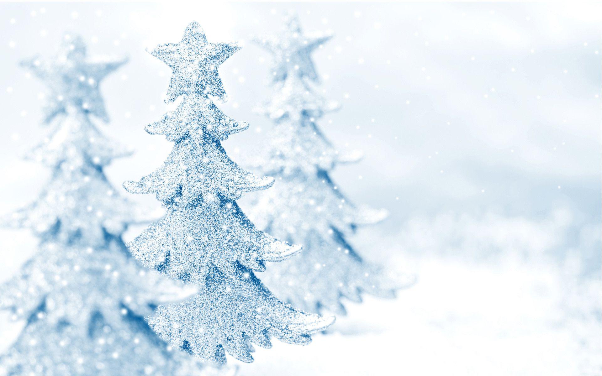 Snowy Christmas Pictures.jpg