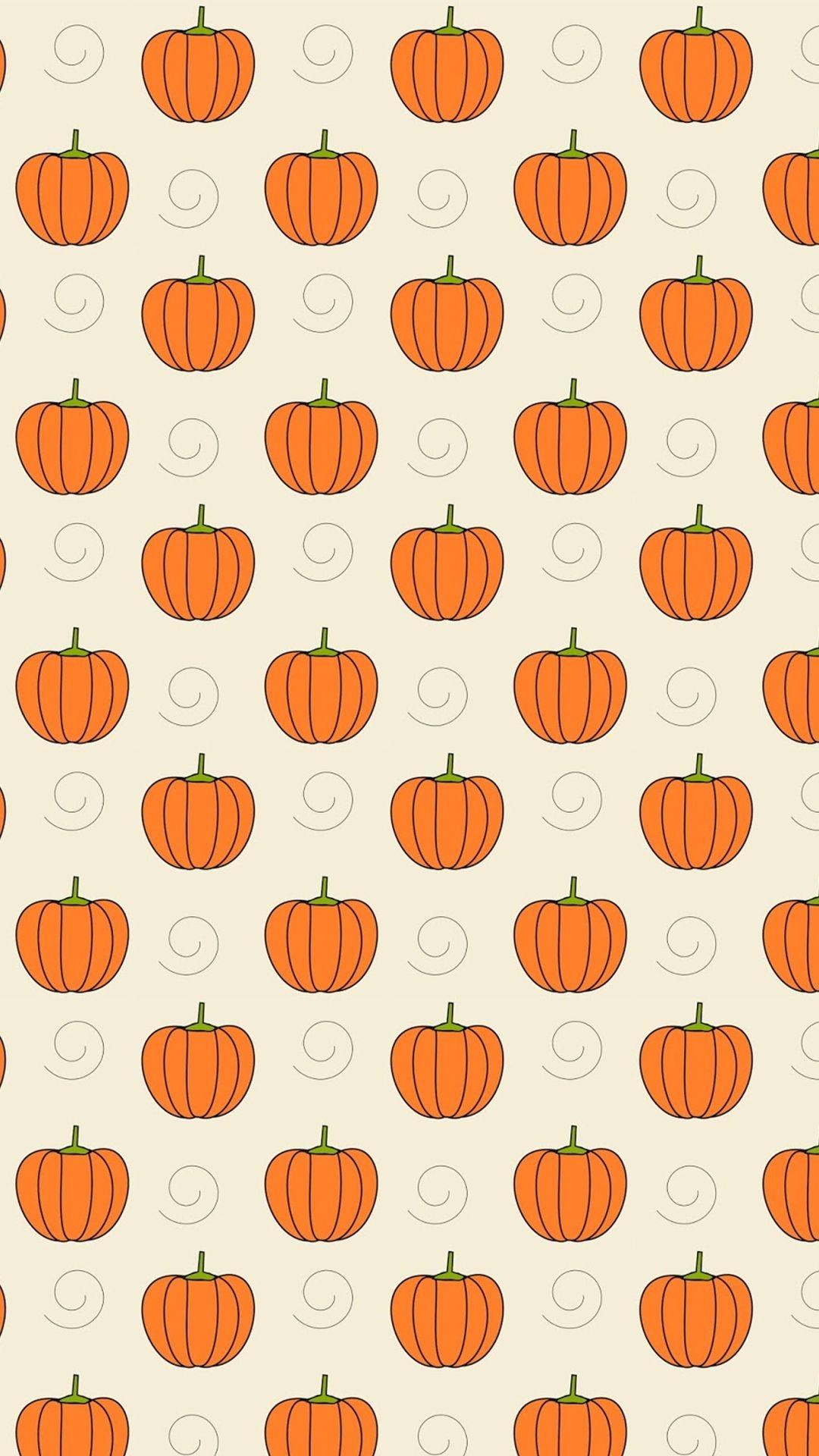 Cute Pumpkin Picture.jpg